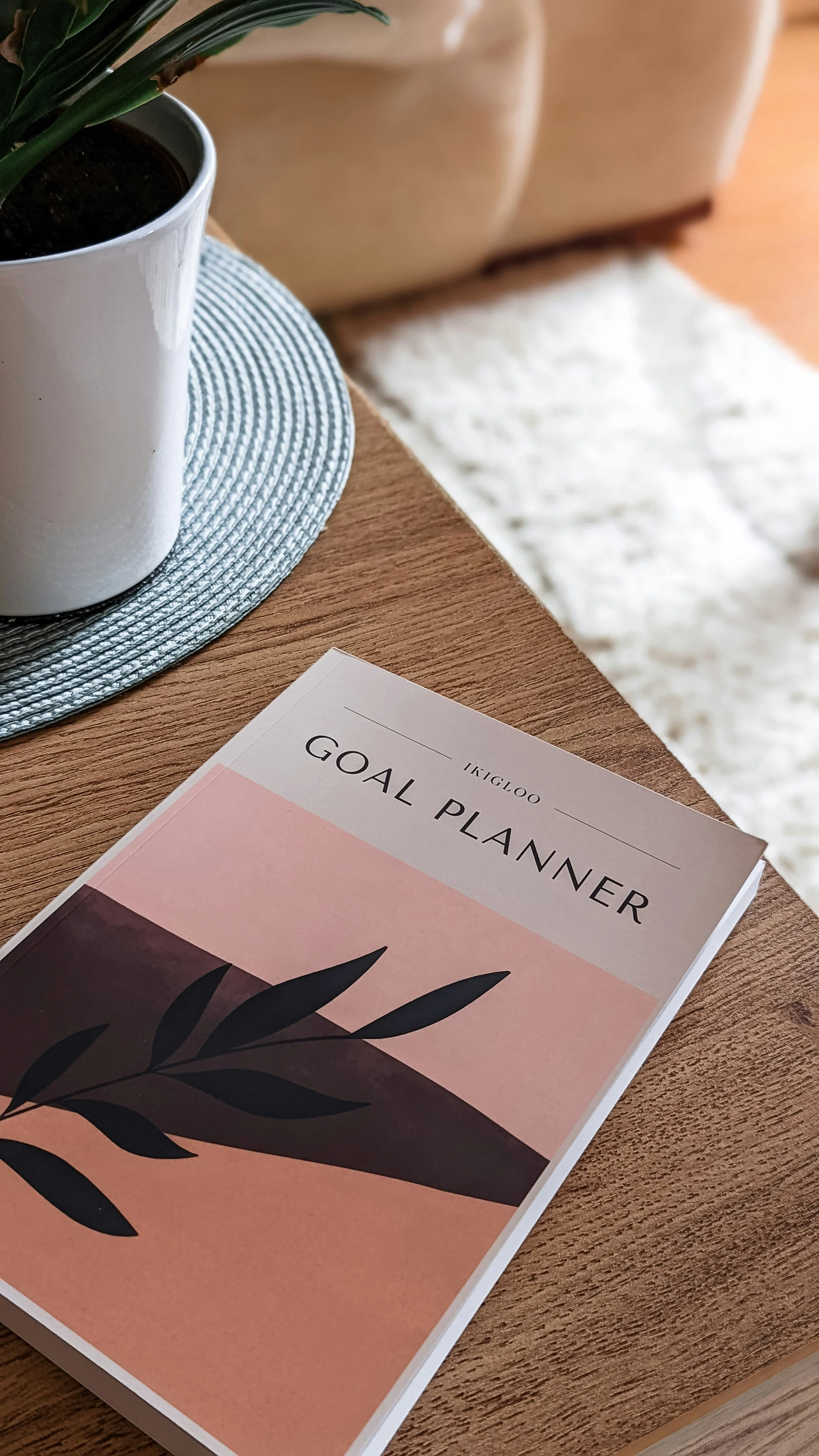 A goal planner booklet on a wooden table, next to a white potted plant with green leaves, on a round woven placemat.