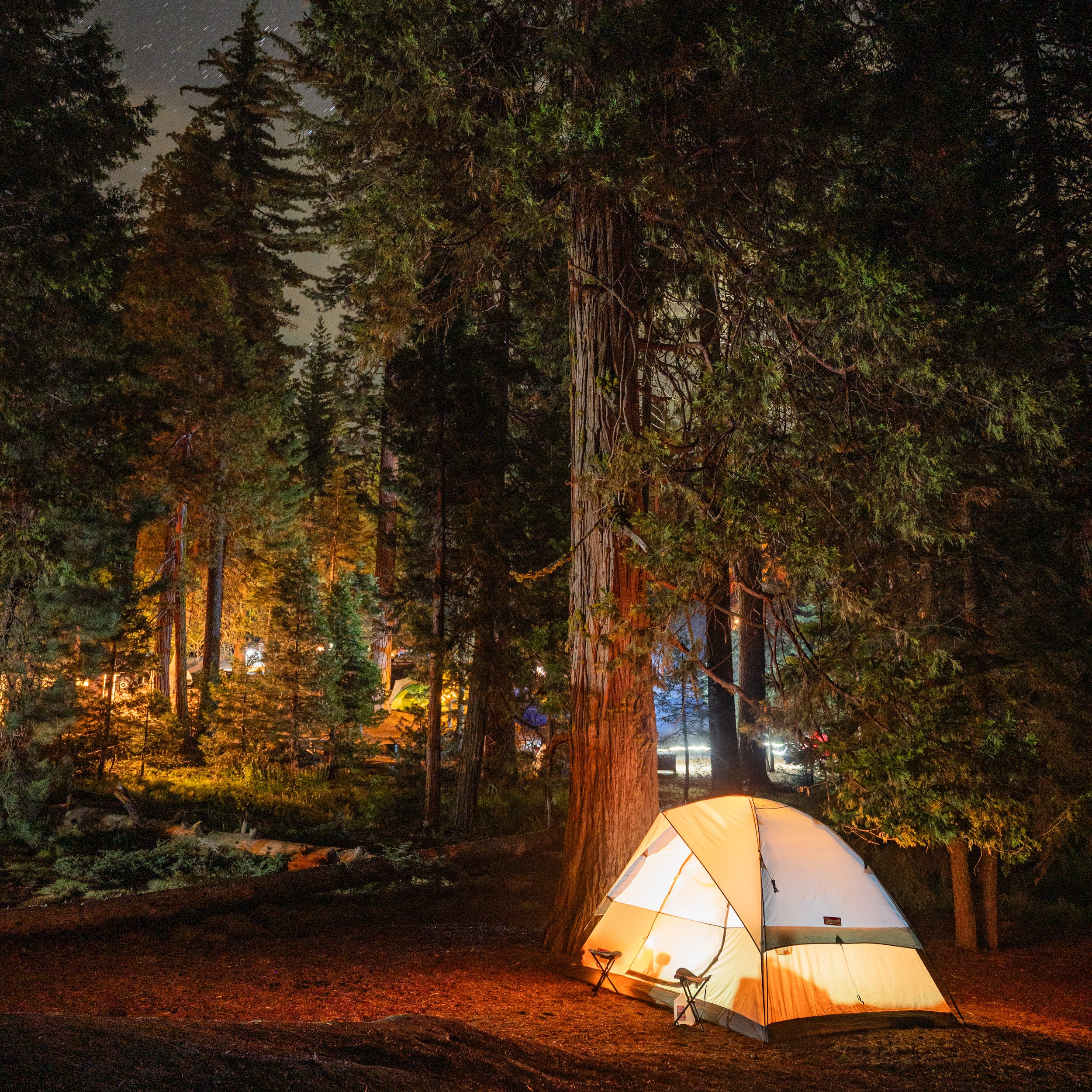 Night scene of a campsite with a lit tent on the ground, surrounded by tall trees and illuminated by warm lights, with a clear starry sky overhead.