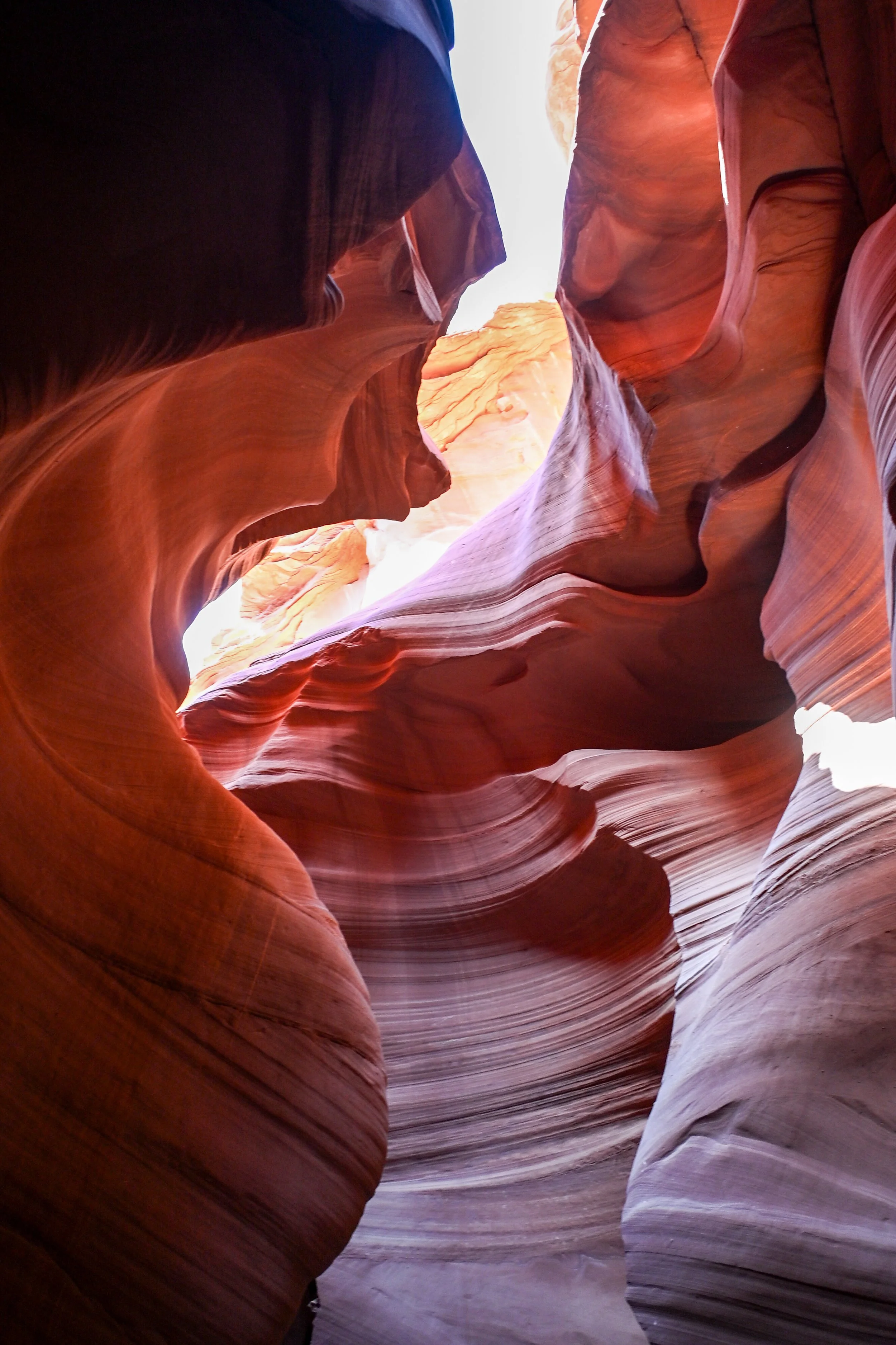 View of smooth, colorful rock formations in a narrow canyon, with sweeping curves and striations in shades of red, orange, and beige.