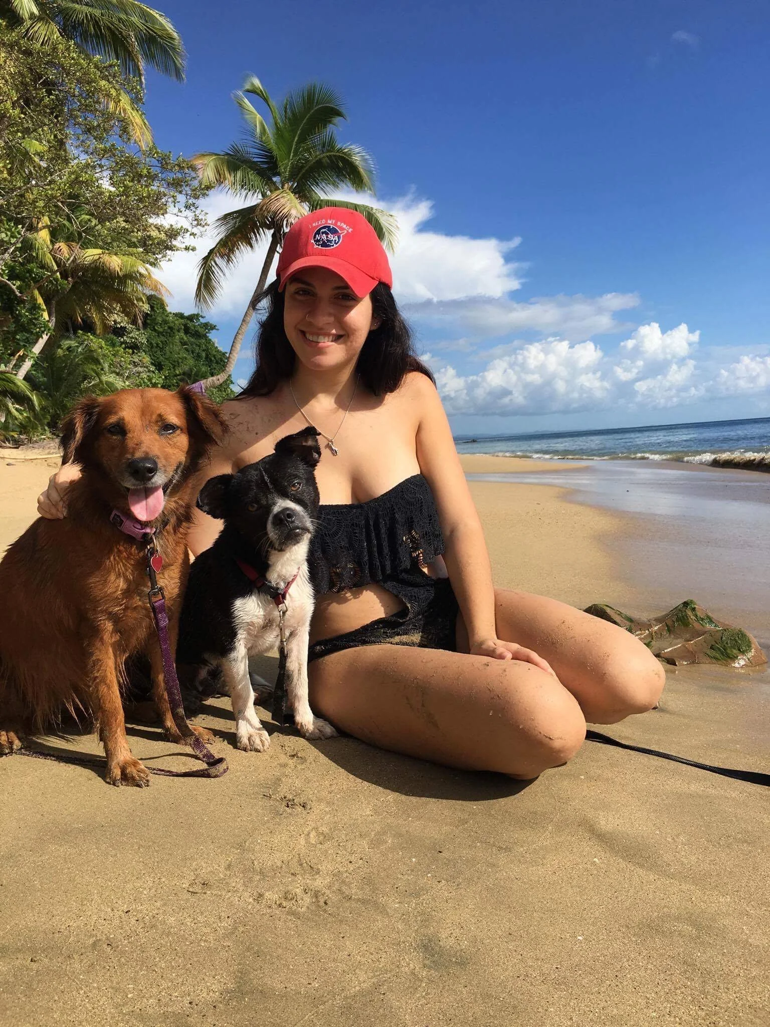 A woman pet sitter, sitting on a sandy beach with her pets. She is smiling with two small dogs, one brown and one black with white markings, with ocean waves in the distance.
