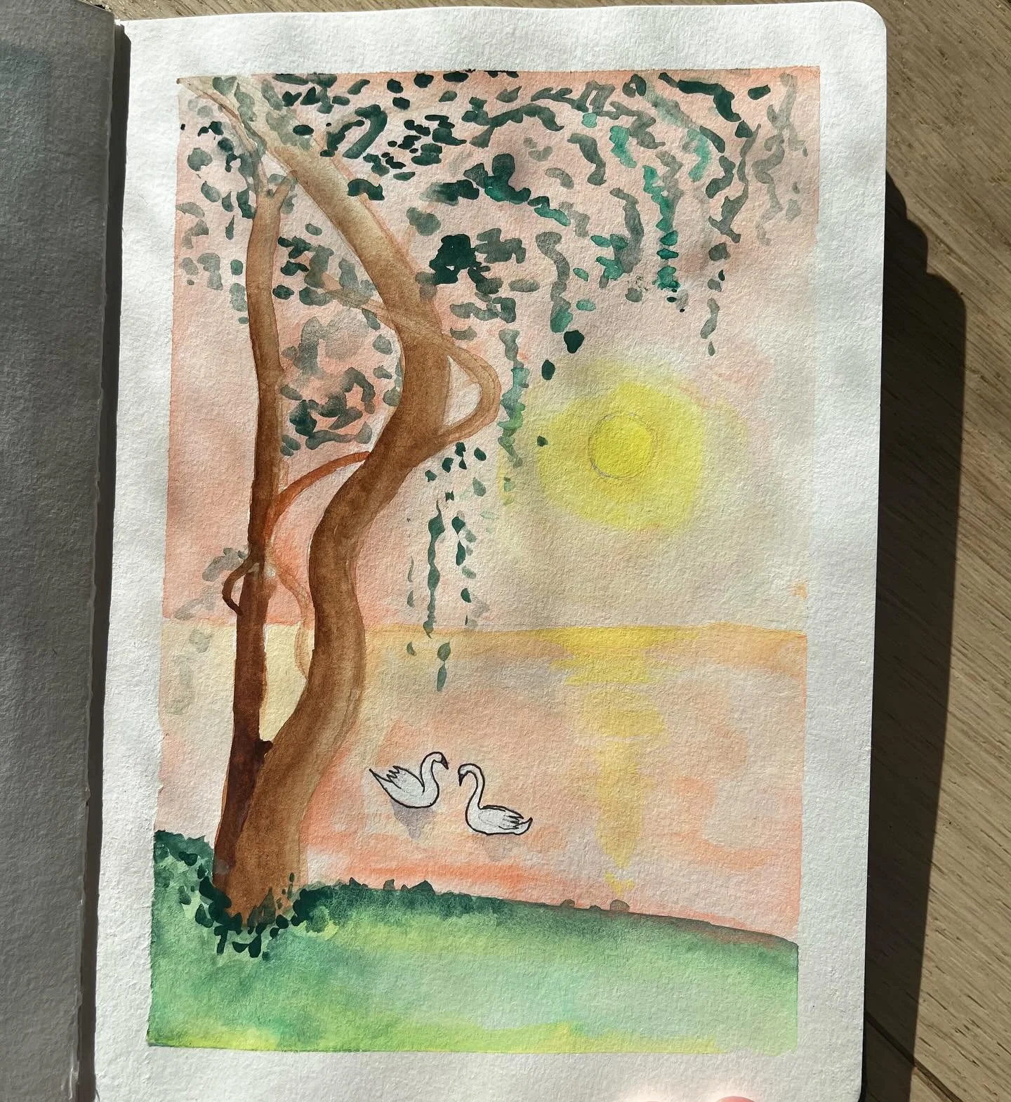 noen akvareller fra den siste tiden🫶🏼🎨✨