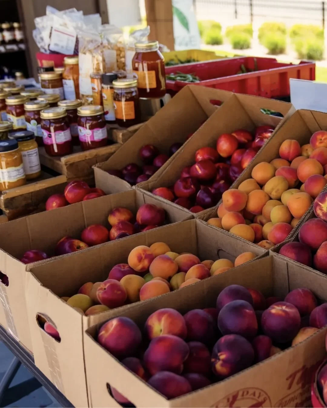 Small moments, big impact, where neighbors can see and be seen.&rdquo; ✨😄

August is full of community connection! Spotlighting local highlights from across the valley:
⭐️ Tagges Fruit Stand brings fresh produce to  @millcreekcommon during the summe