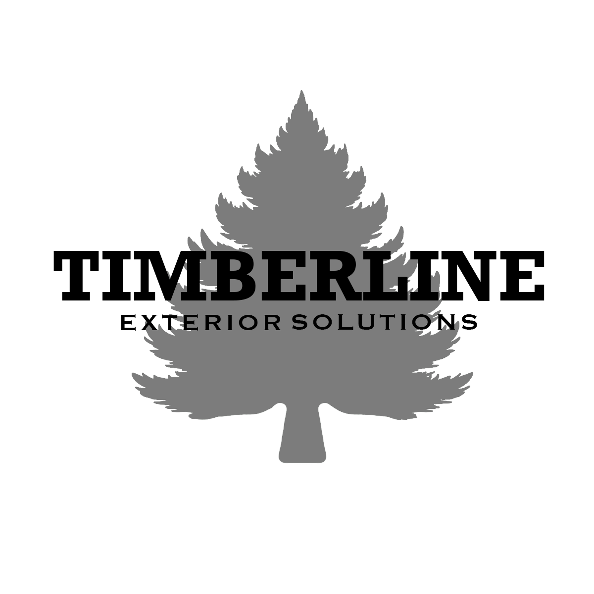 Outline of a pine tree in white lines on a black background.