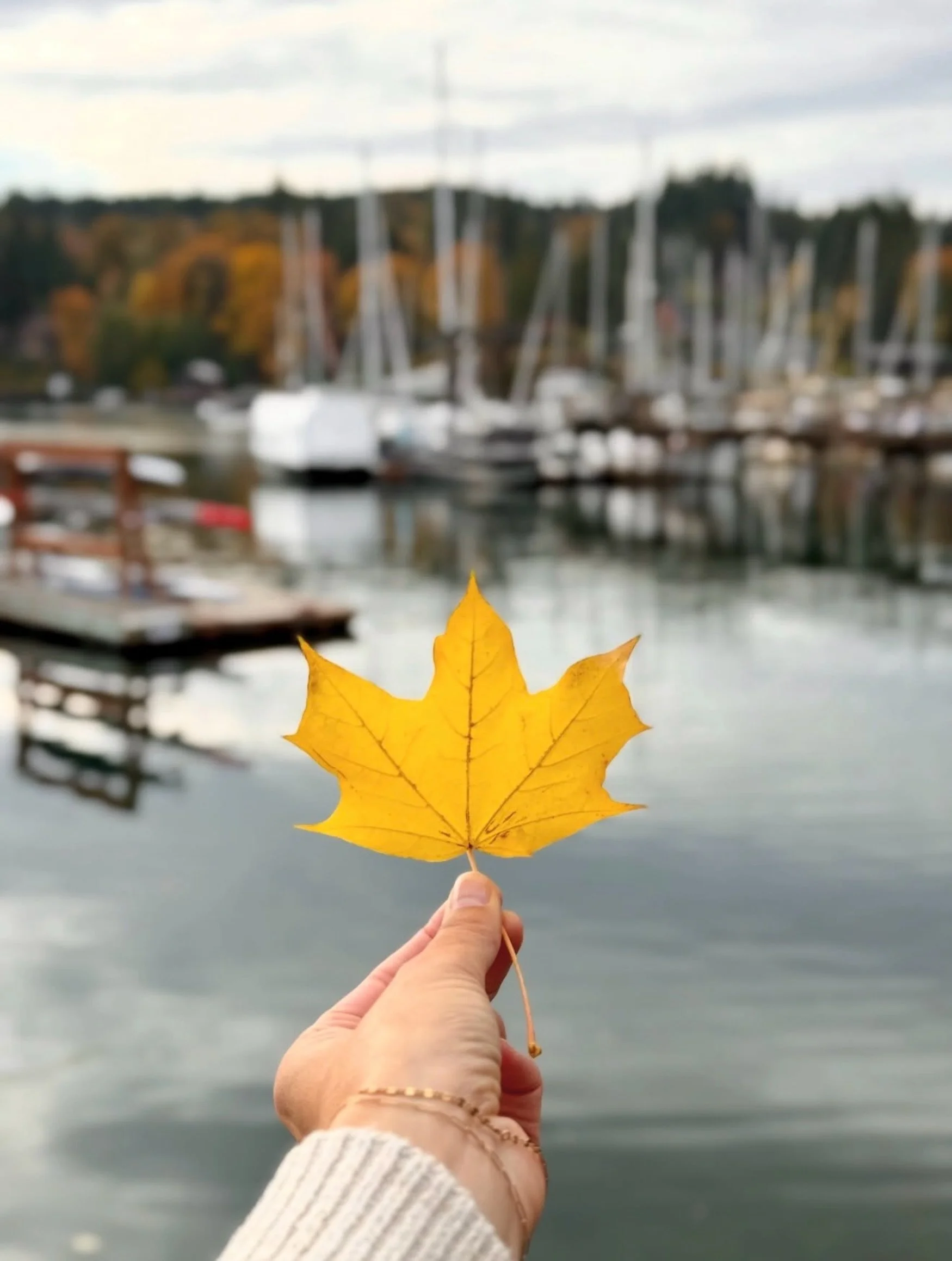 Experiencing fall on Bainbridge is a MUST 🍂 Come see us this season and don&rsquo;t rush home! Miss the boat on purpose &mdash; you can always catch the next ferry! 

Lovely image via @tianagallagher.realestate 😌