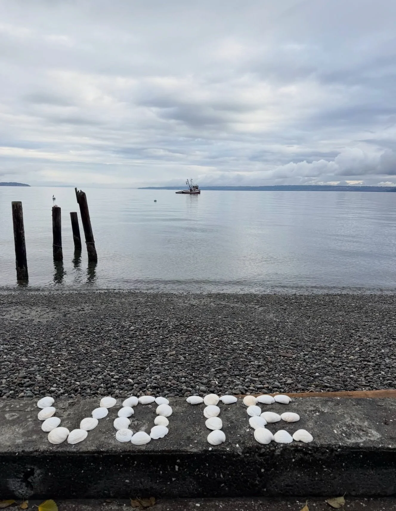 A friendly reminder wherever you are&hellip;vote. Thanks @shellhousegreetings for the image! 🐚🗳️