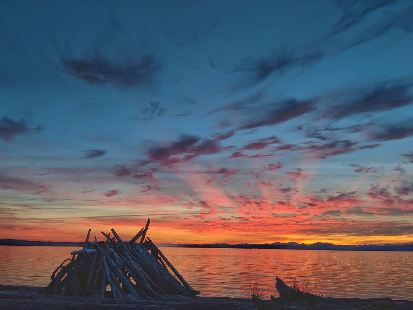 Colorful sunset over a body of water with a driftwood sculpture in the foreground.