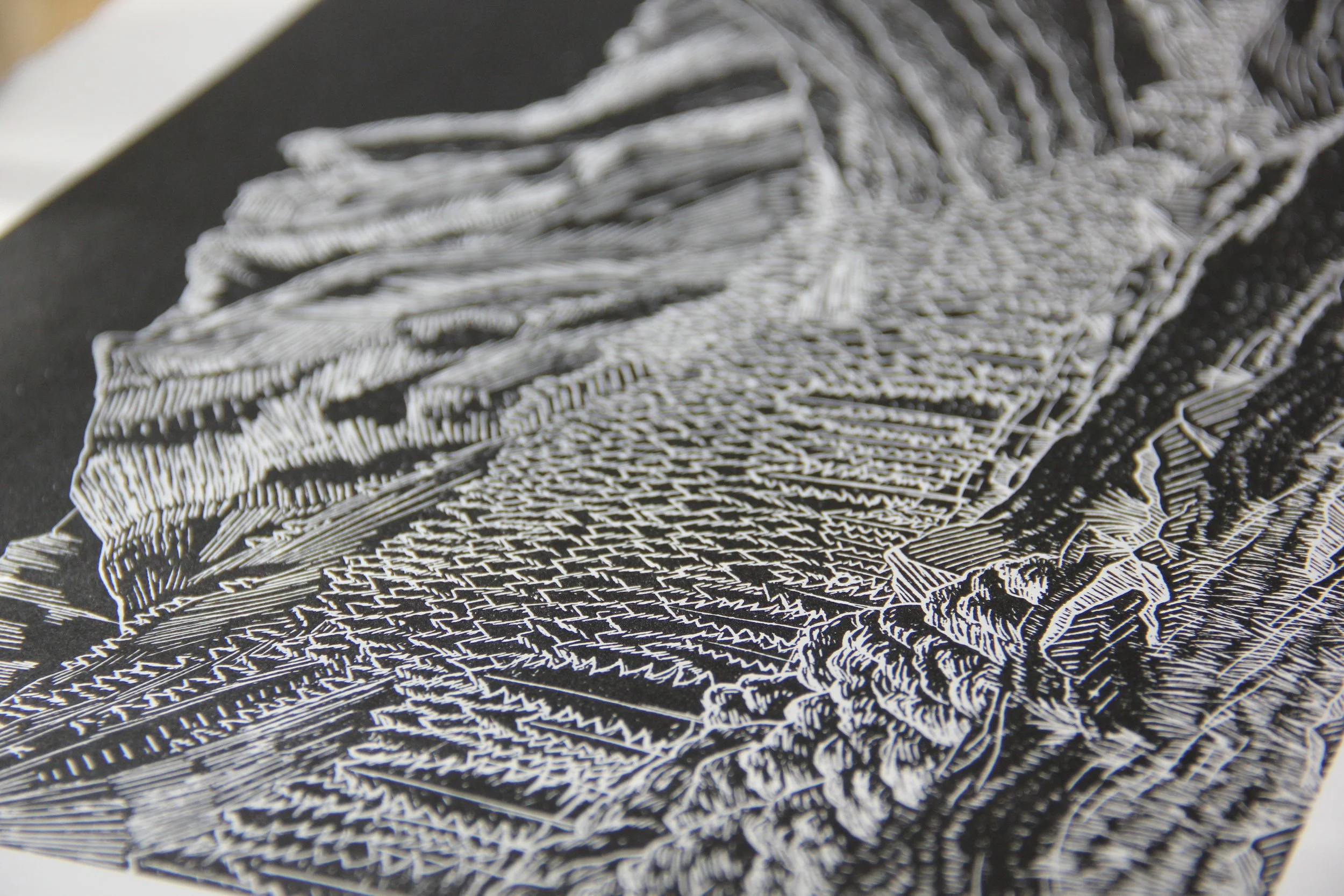 Dead Man's Loop Linocut by Rachel Hopkins (6).JPG