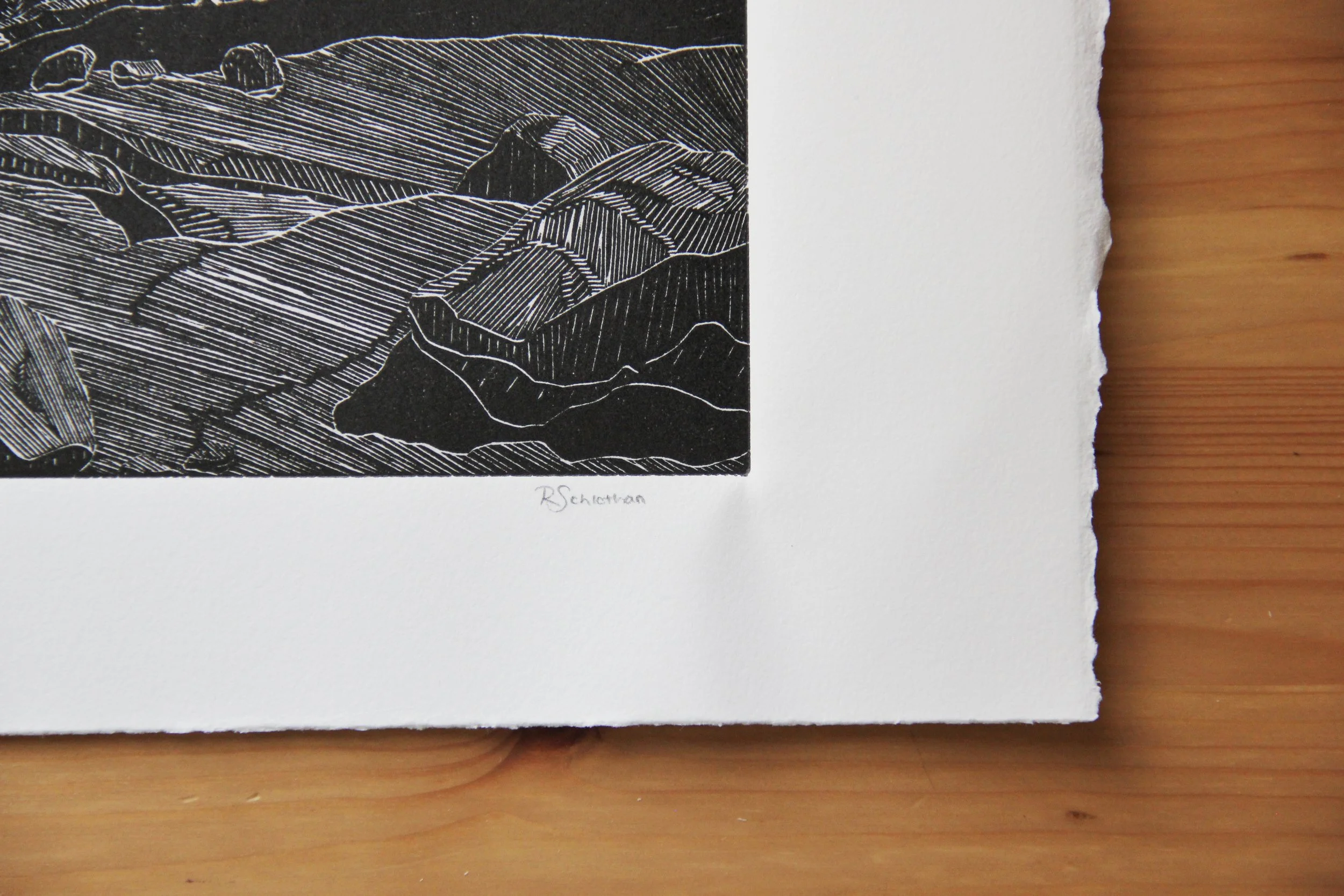 View From Yosemite Linocut by Rachel Hopkins (3).JPG