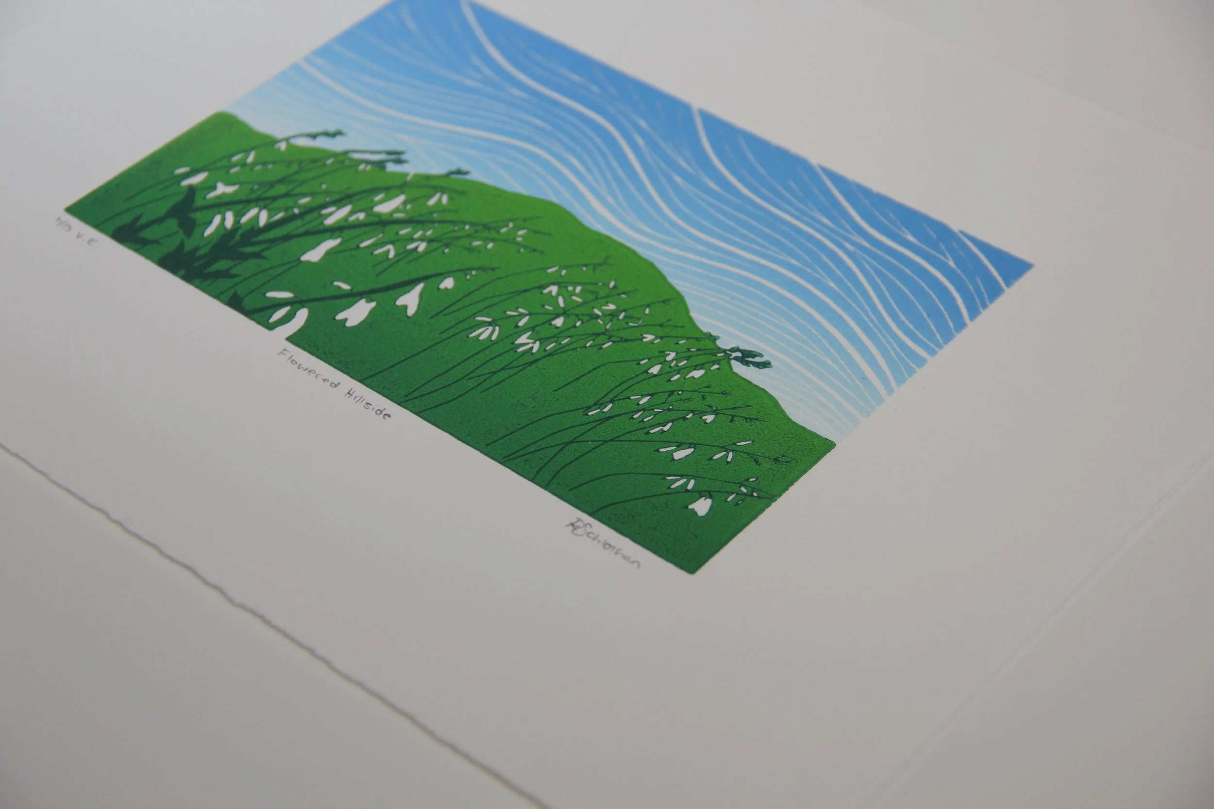 Hillside Reduction Linocut by Rachel Hopkins (3).JPG