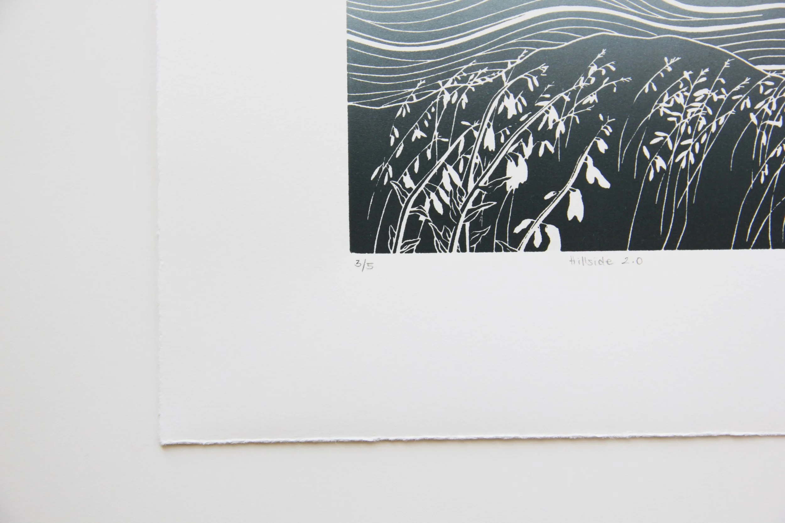 Hillside Linocut by Rachel Hopkins (3).JPG
