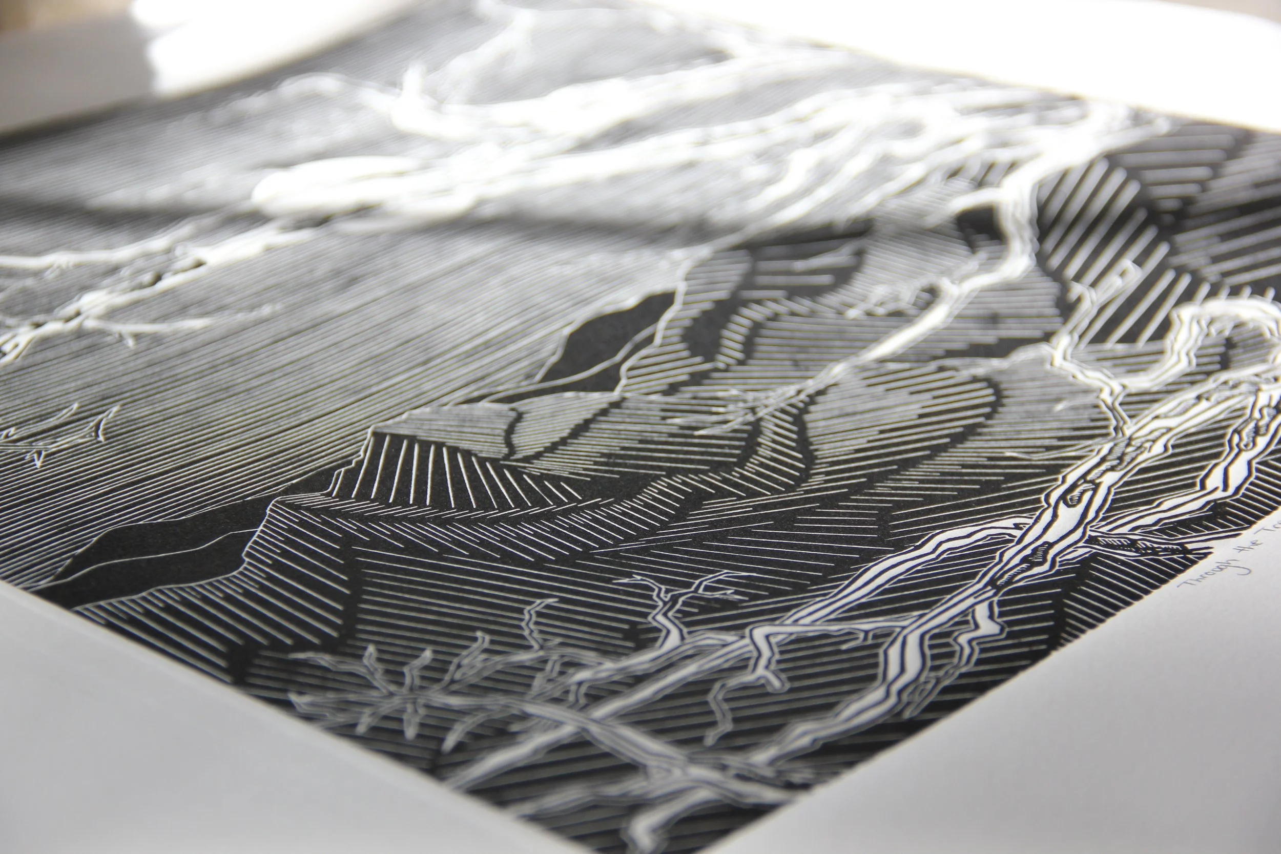 Through the Trees Linocut by Rachel Hopkins (4).JPG