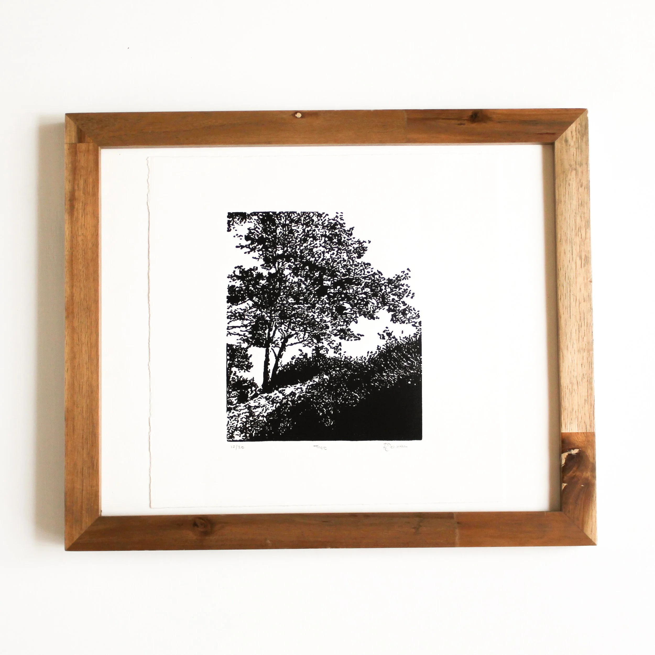 Tree Linocut by Rachel Hopkins (1).jpg