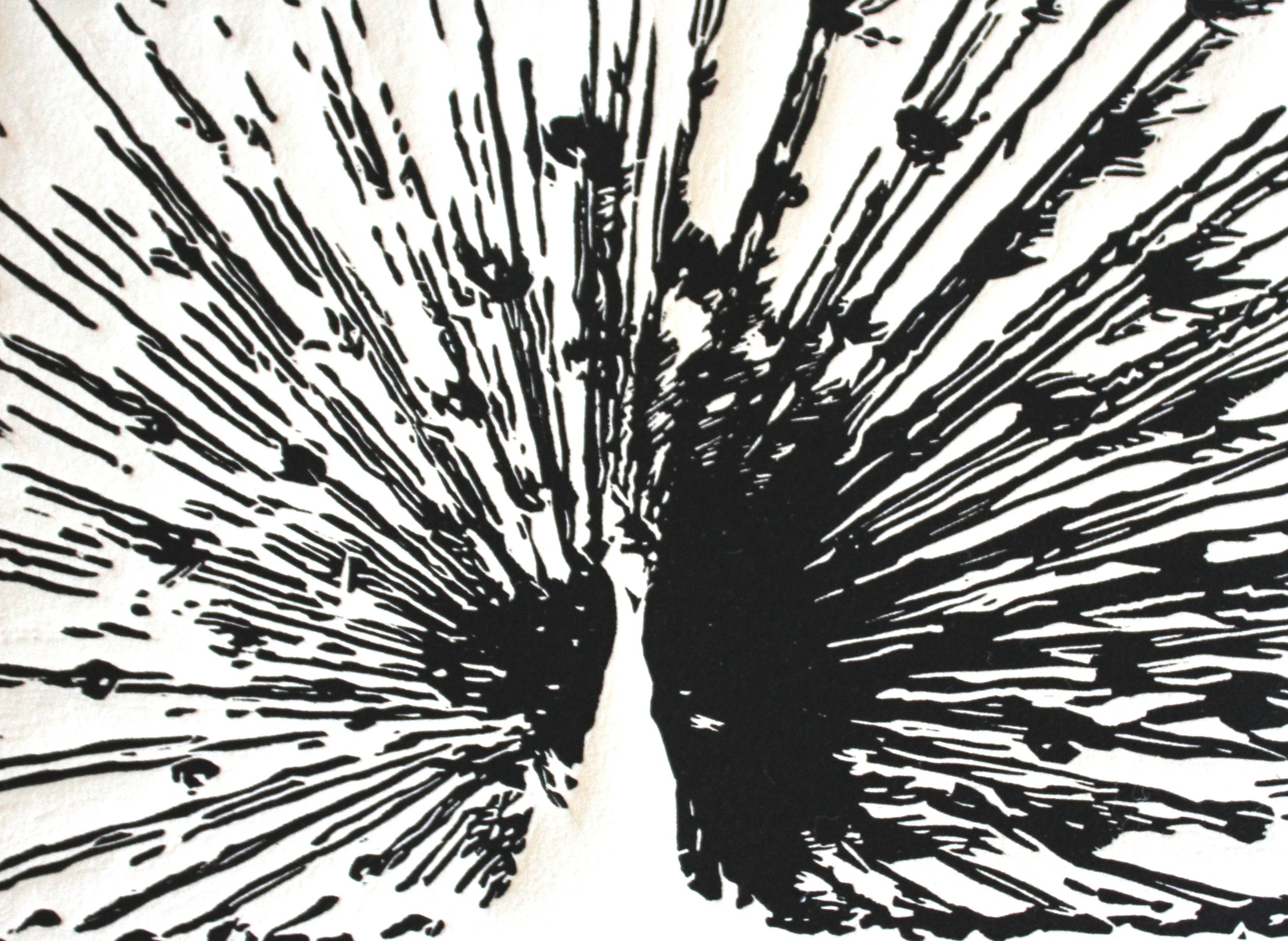 Peacock Linocut by Rachel Hopkins (3).jpg