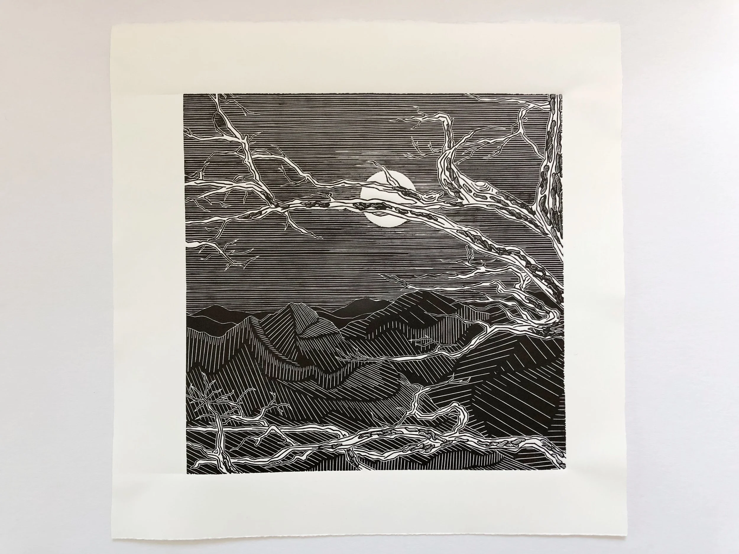 Through the Trees Linocut by Rachel Hopkins (2).JPG