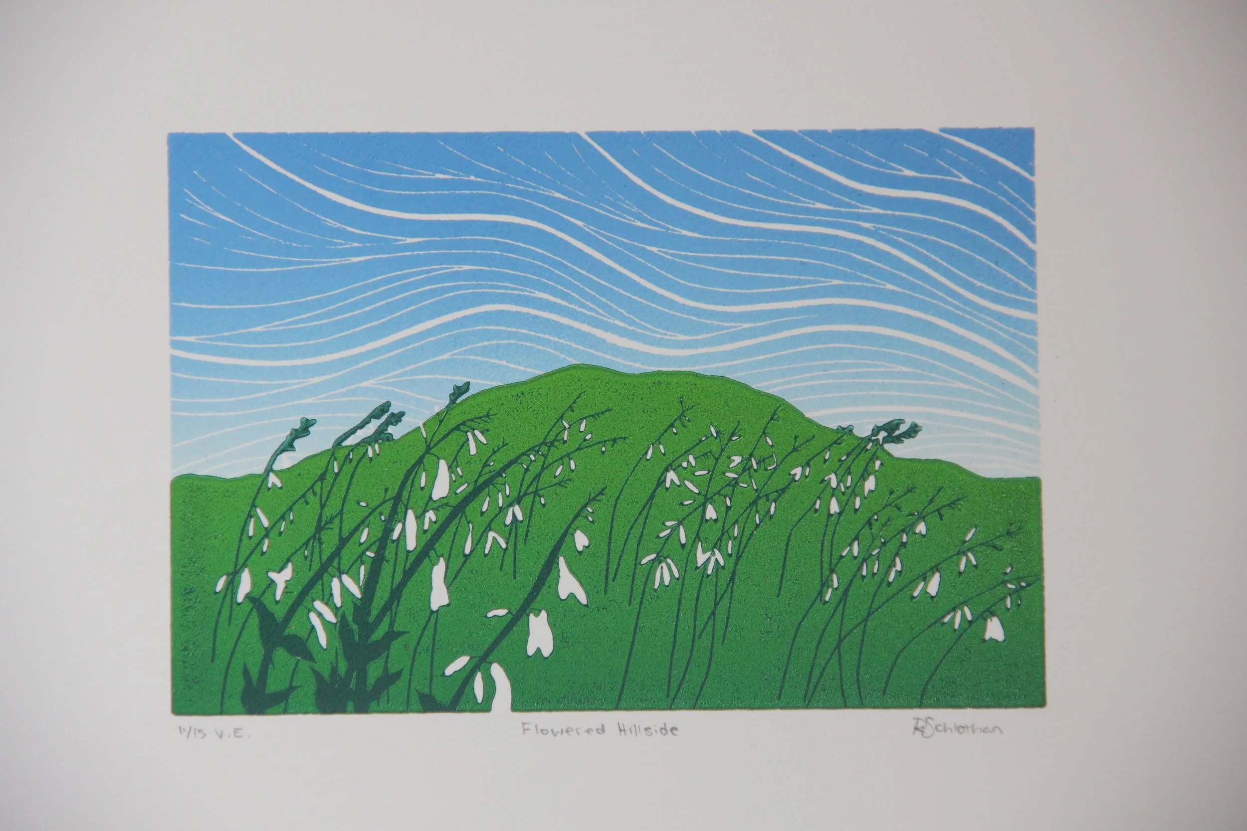 Hillside Reduction Linocut by Rachel Hopkins (4).JPG