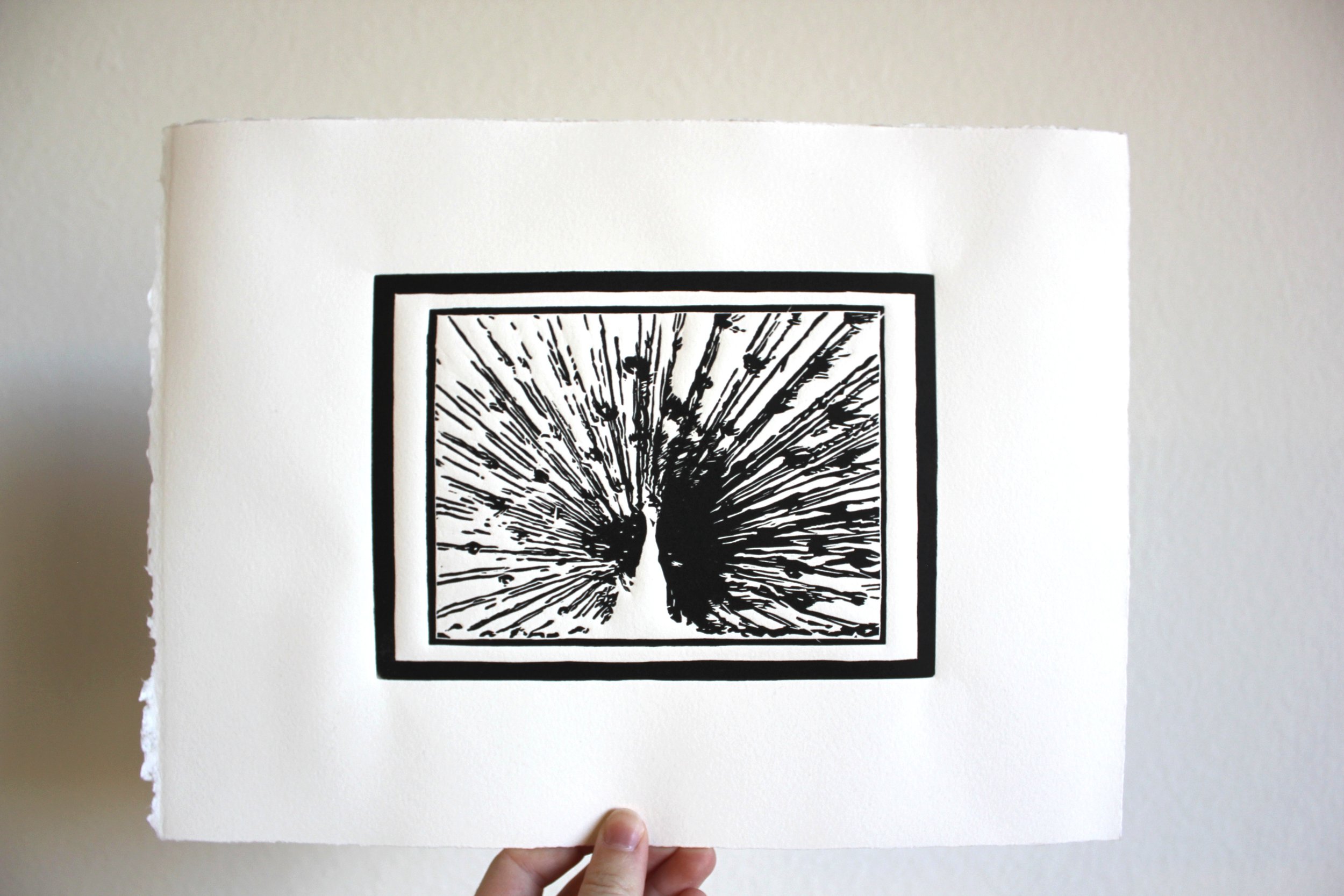 Peacock Linocut by Rachel Hopkins (2).jpg