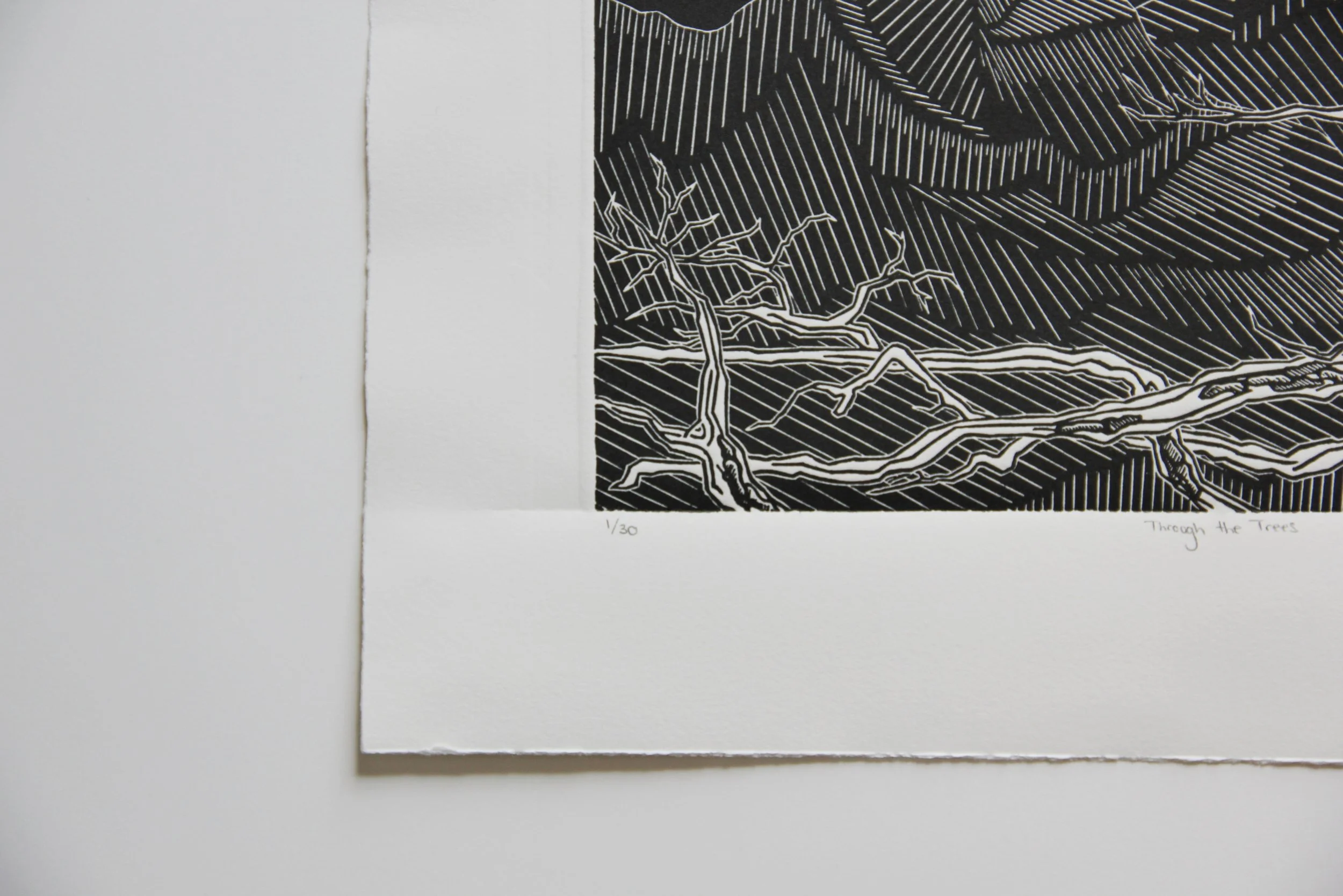 Through the Trees Linocut by Rachel Hopkins (3).JPG