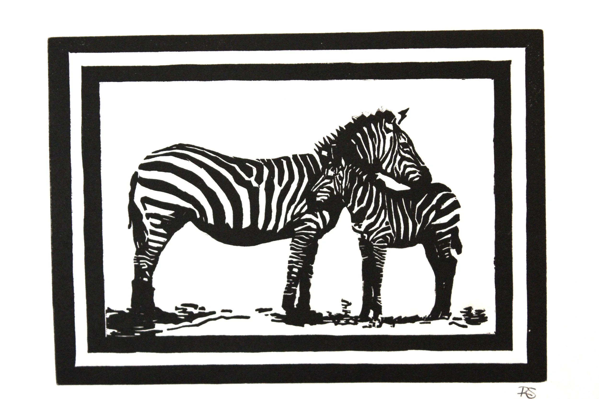 Zebras Linocut by Rachel Hopkins (2).JPG