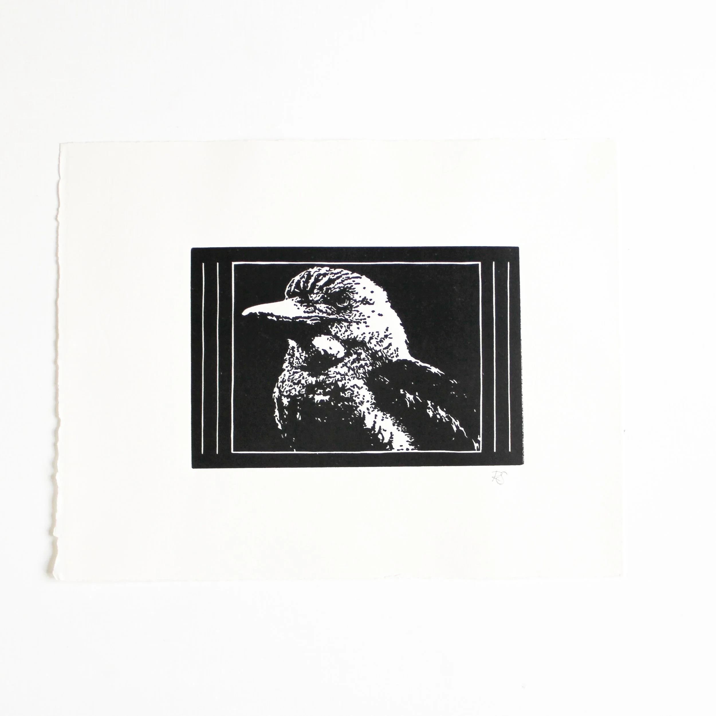 Kookaburra Linocut by Rachel Hopkins (4).jpg