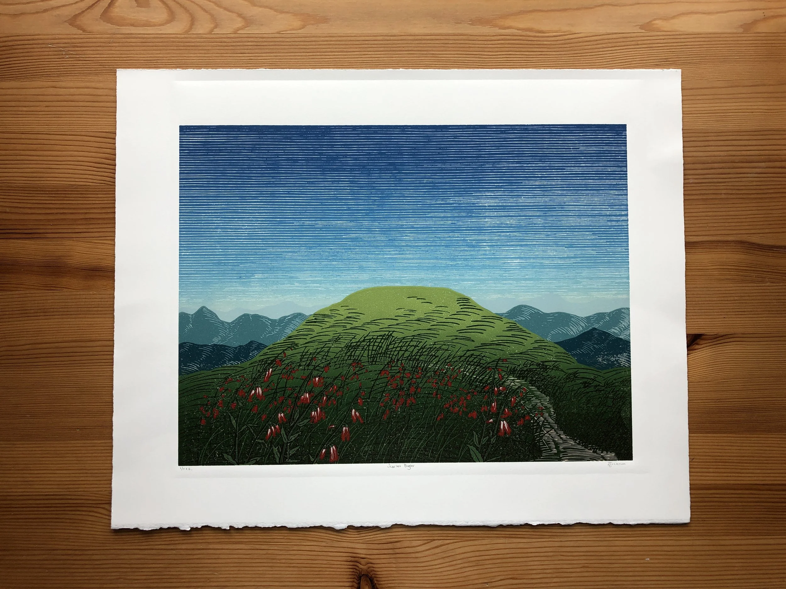 Scarlet Bugler Reduction Linocut by Rachel Hopkins (1).JPG