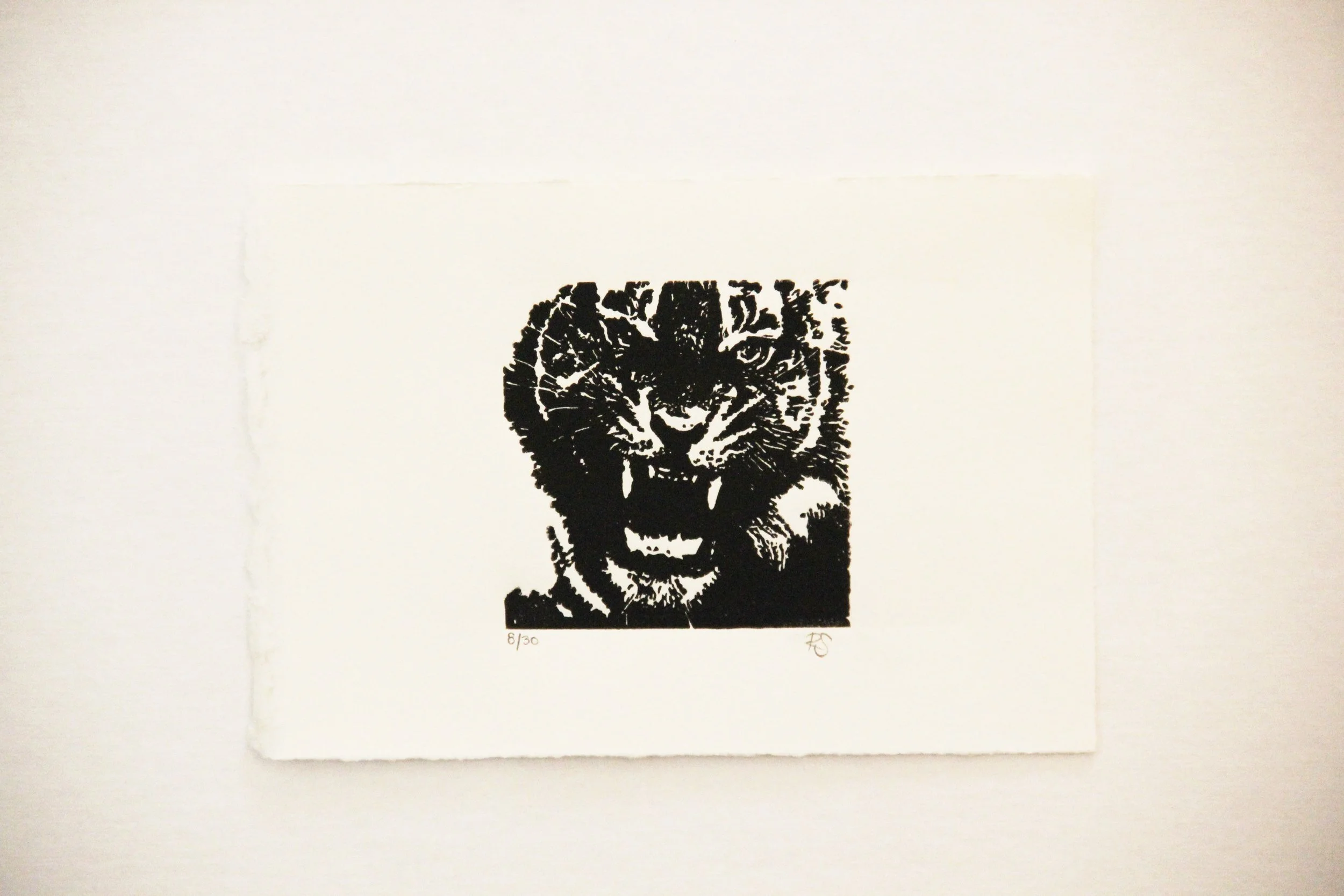 Tiger Linocut by Rachel Hopkins (2).JPG