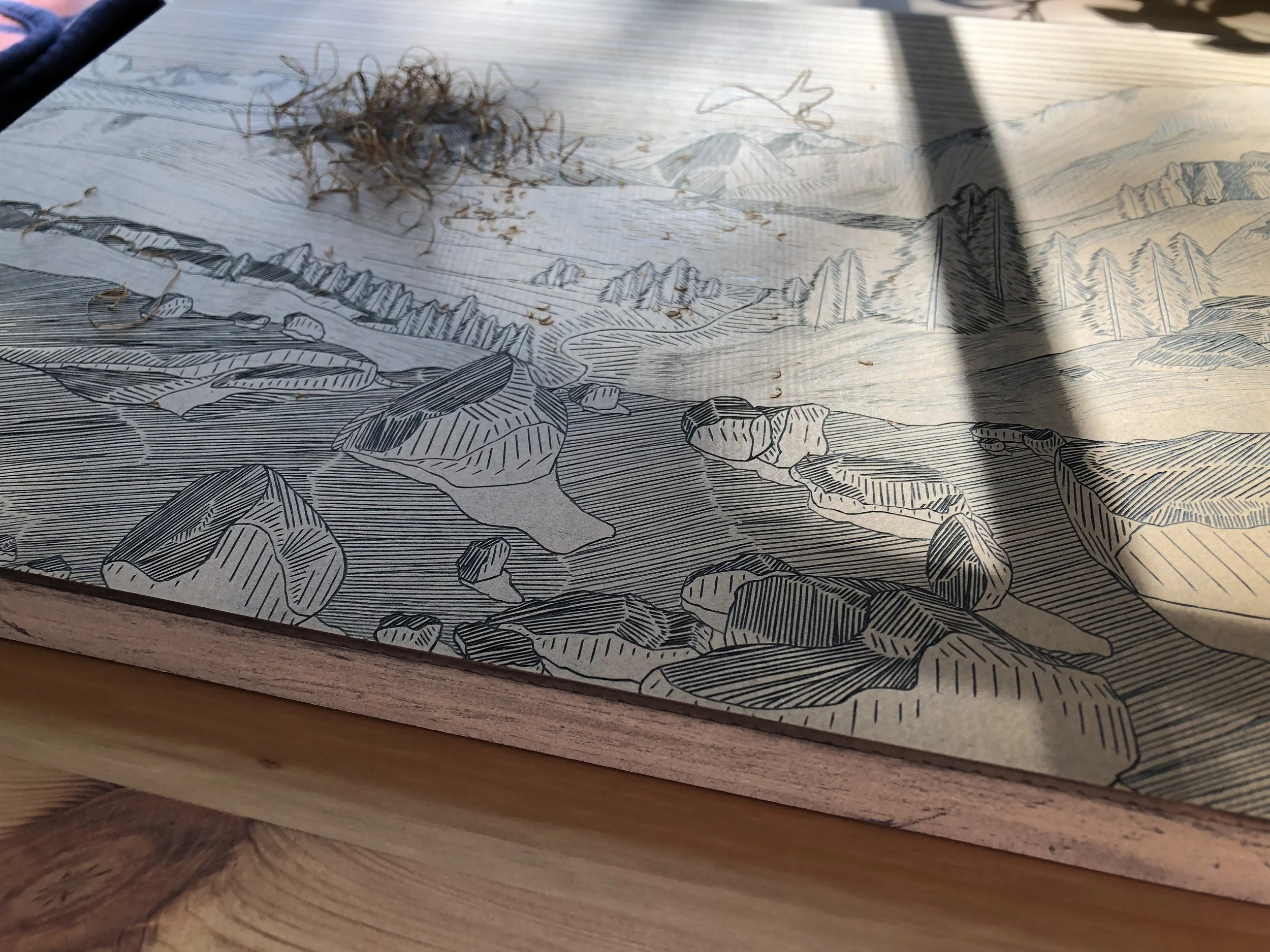 View From Yosemite Linocut by Rachel Hopkins (5).JPG