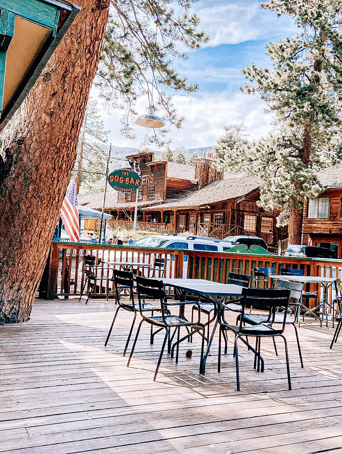 Outdoor patio seating area with black chairs and tables, wooden deck, wooden buildings with rustic look, trees with snow-covered branches, a sign for Dog Bar restaurant, and parked cars in the background.