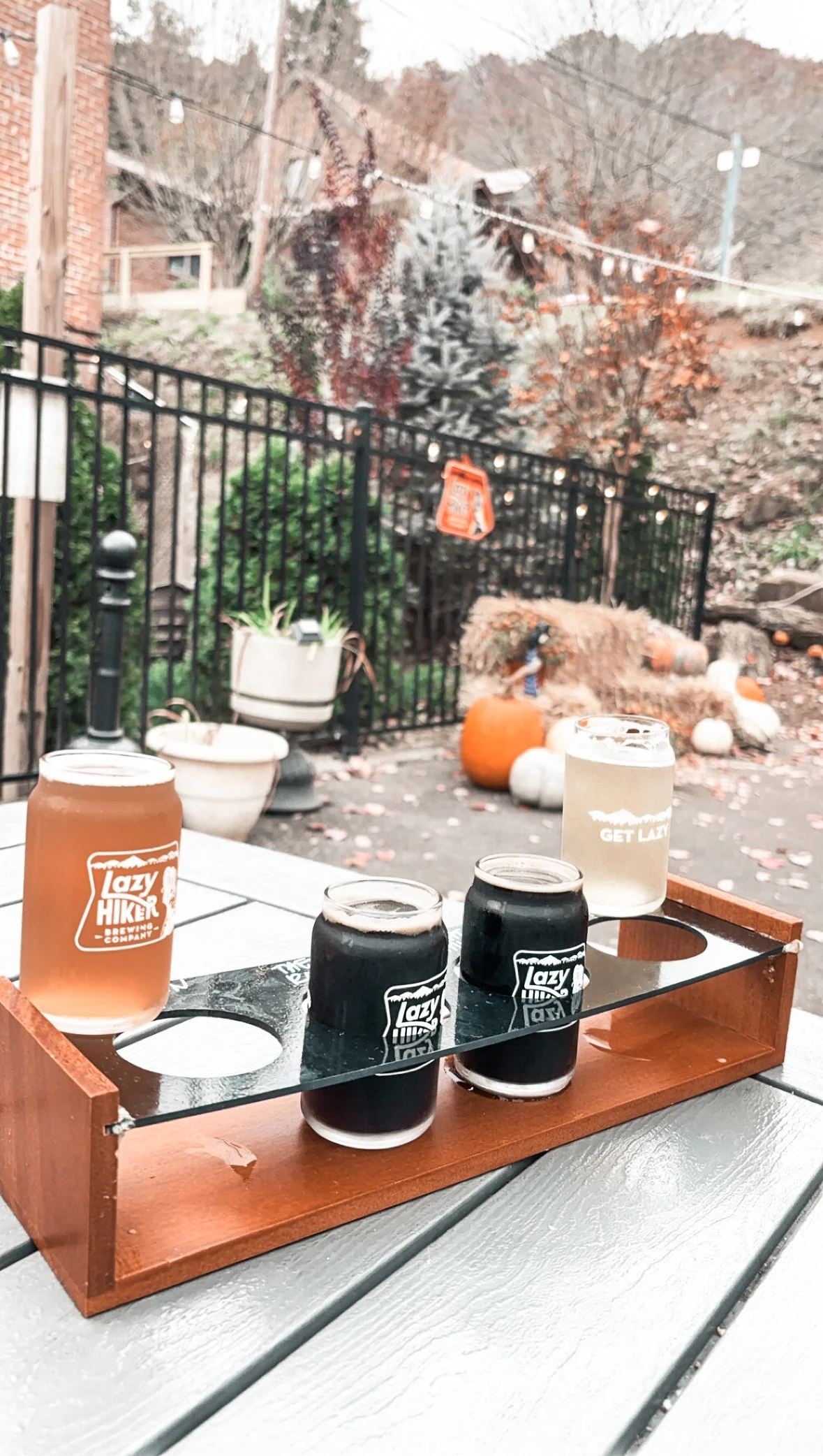 A flight of four craft beers on a wooden beer flight holder, with two black beers and two lighter beers, one of which is in a glass with the Lazy Hiker Brewing Company logo, on a table outside. The background features a black wrought iron fence, autumnal trees, pumpkins, and decorative fall items.