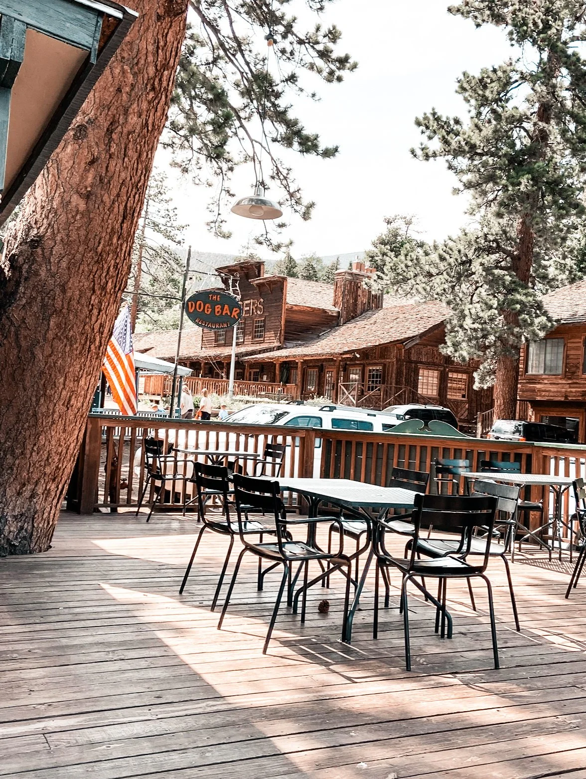 Outdoor patio with wooden deck, black chairs, trees, and a wooden building labeled 'The Dog Bar Restaurant' in the background.