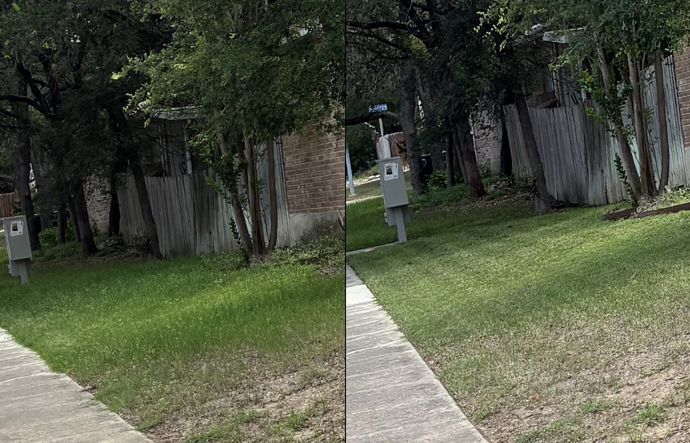 A side-by-side comparison of two nearly identical photos showing a sidewalk, grassy yard, trees, a wooden fence, and a brick building wall, with slight differences in the angle and lighting.