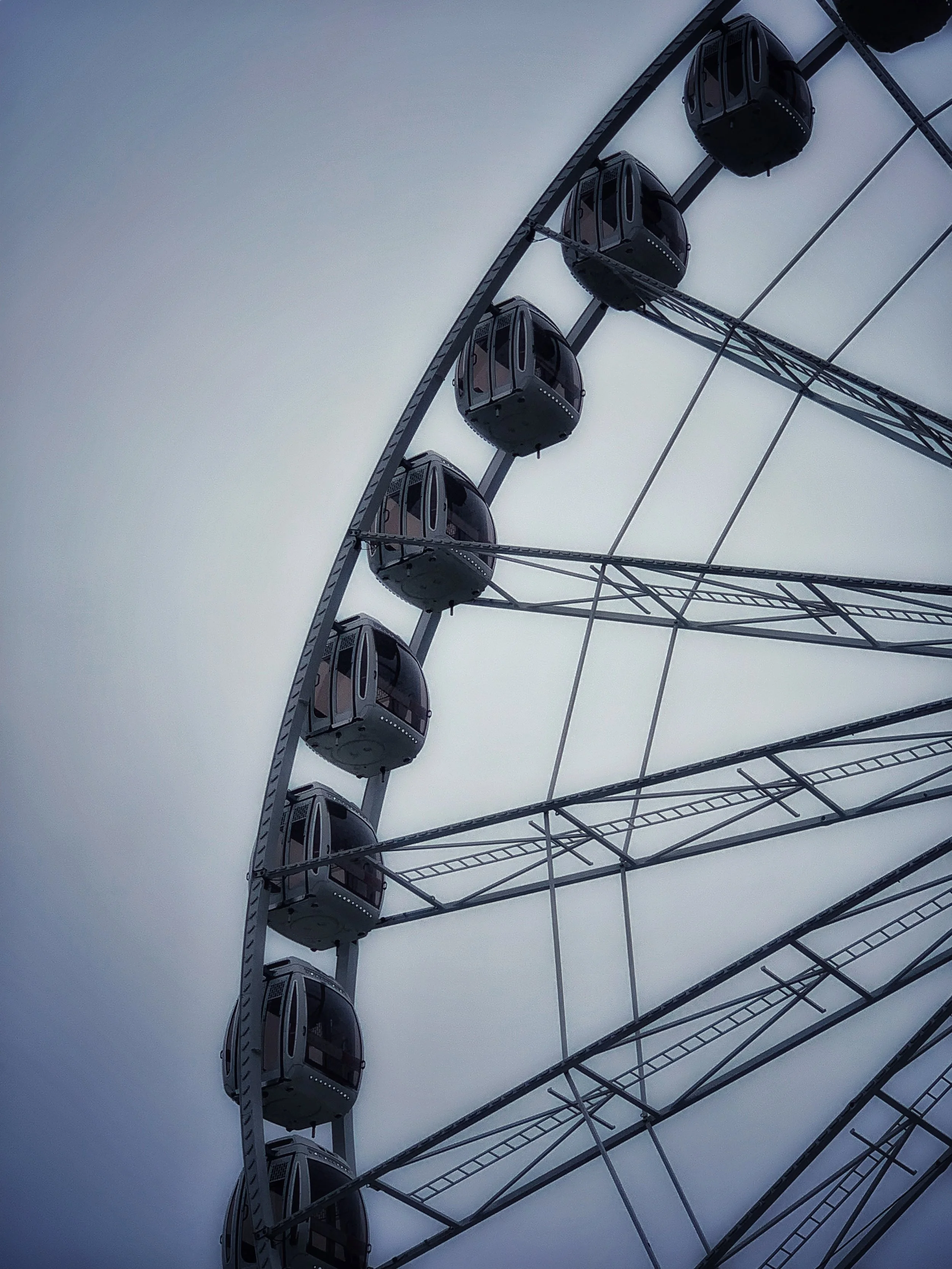 IMG_8813.jpeg