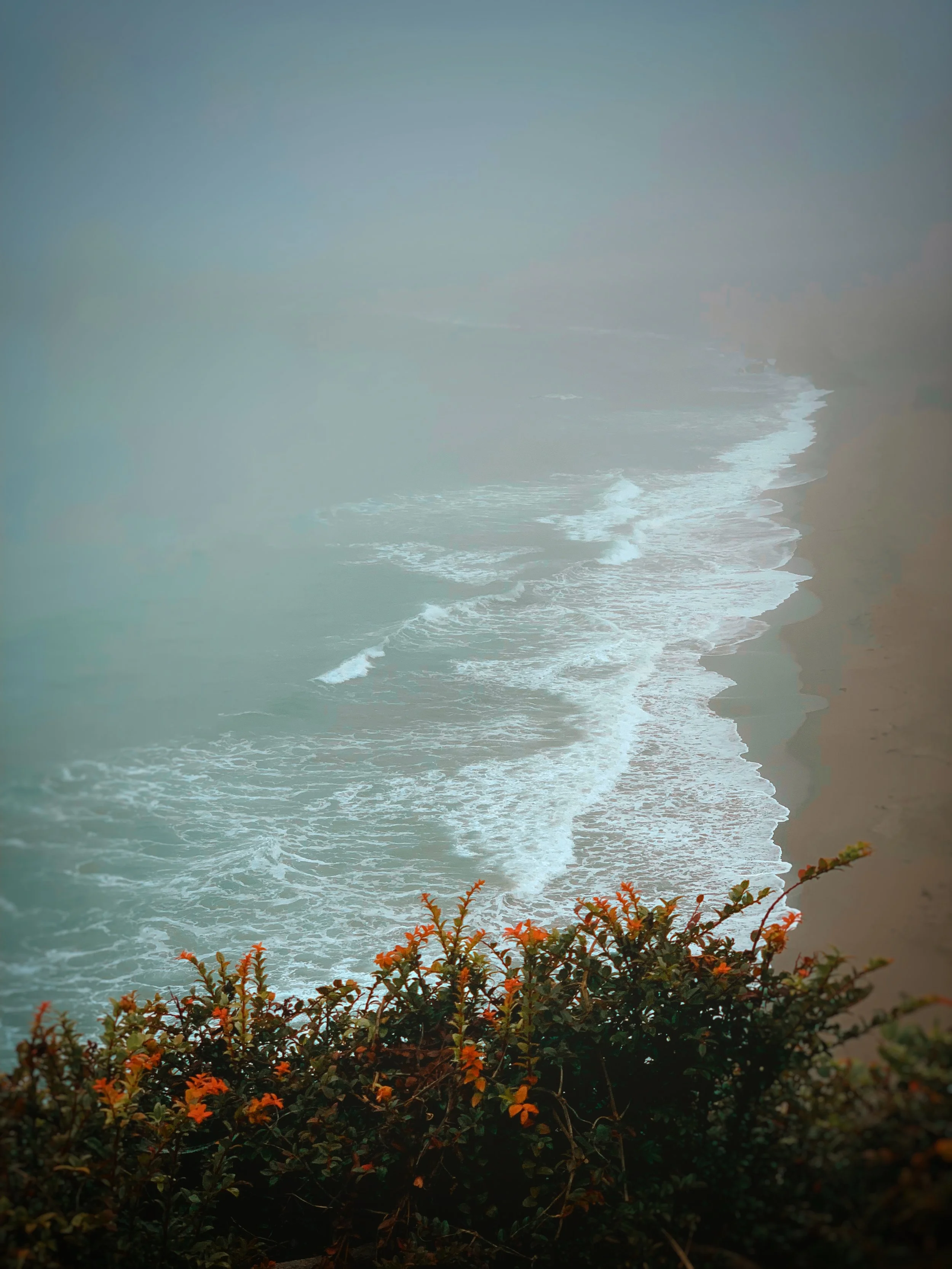 IMG_1117.jpeg