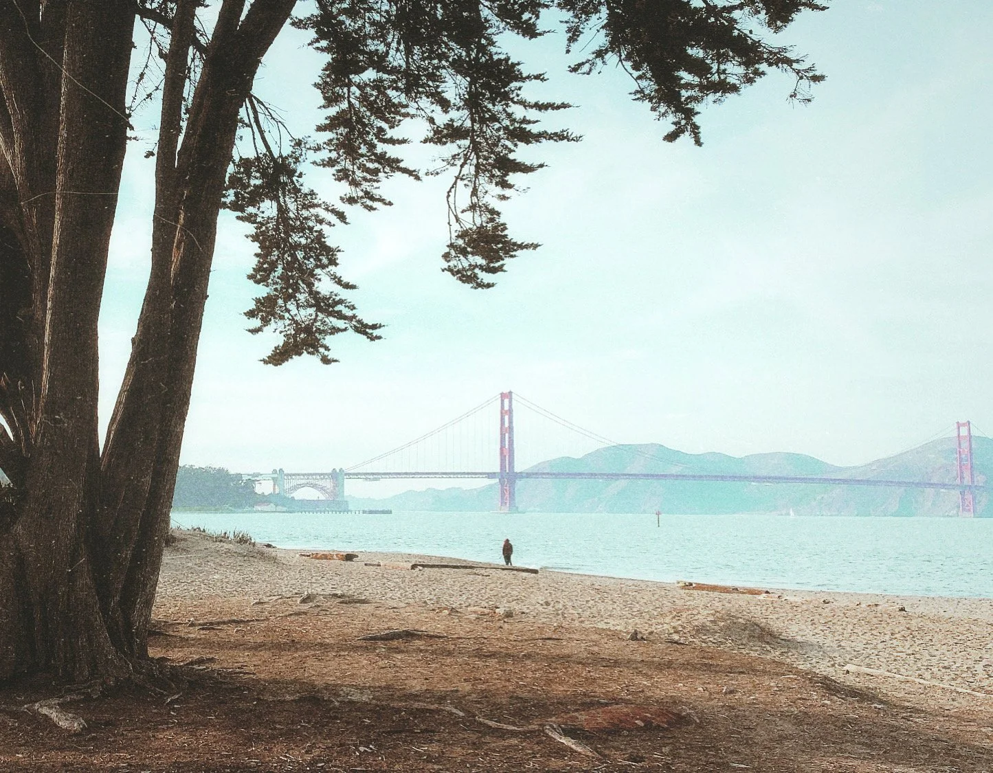 4D33A7B8-F94B-41F4-B35F-C16FD77969F6.jpeg