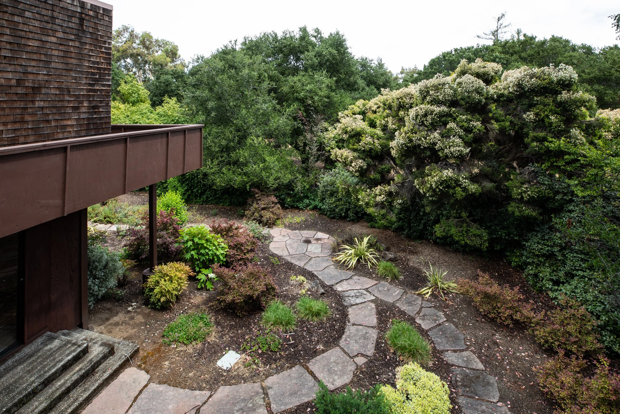 18-Tolman_Matt_Anello-3256-MLS.jpg