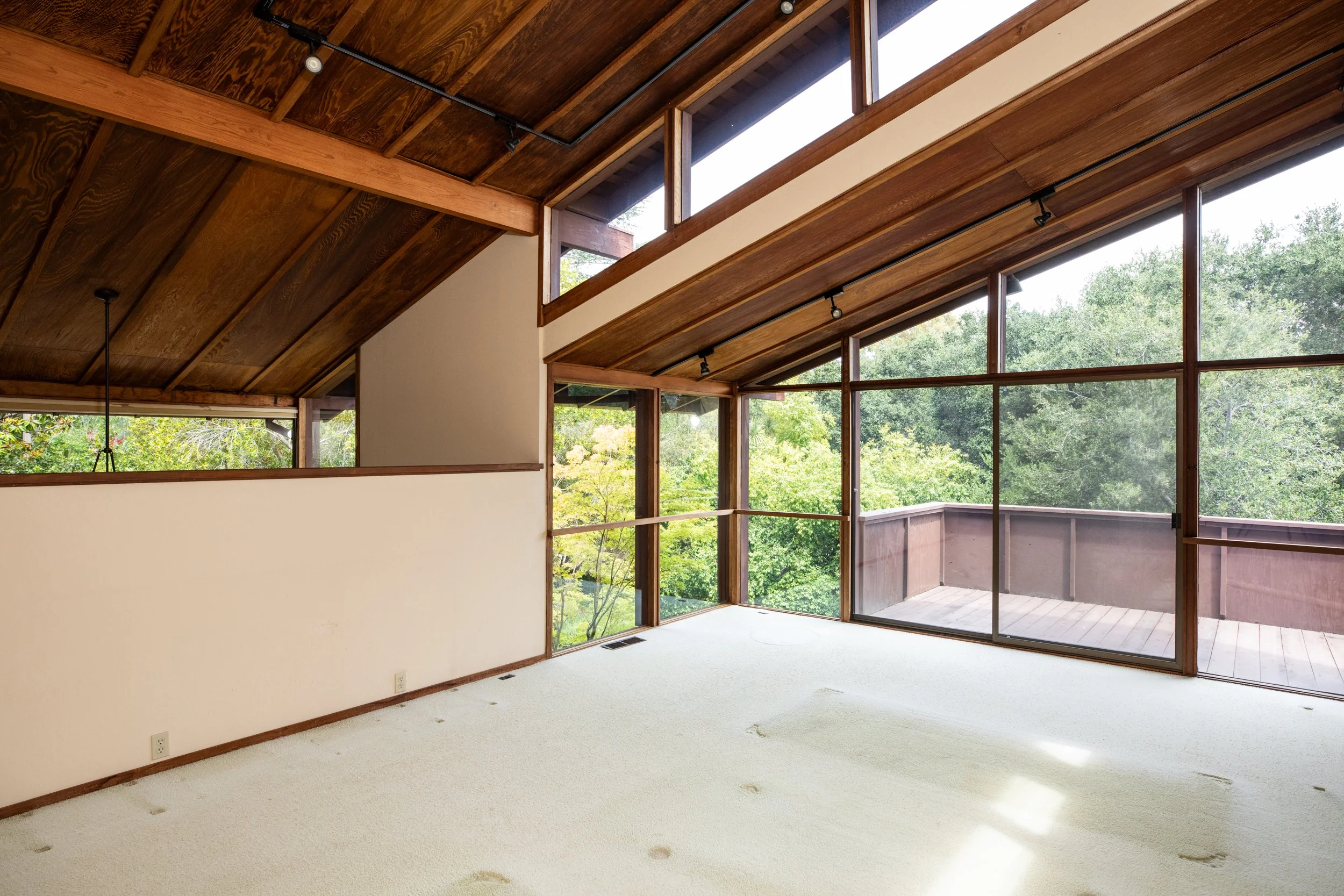 9-Tolman_Matt_Anello-3247-MLS.jpg