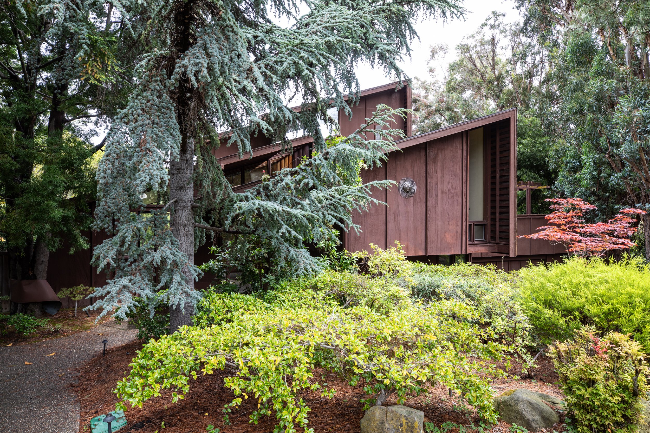 4-Tolman_Matt_Anello-3214-MLS.jpg