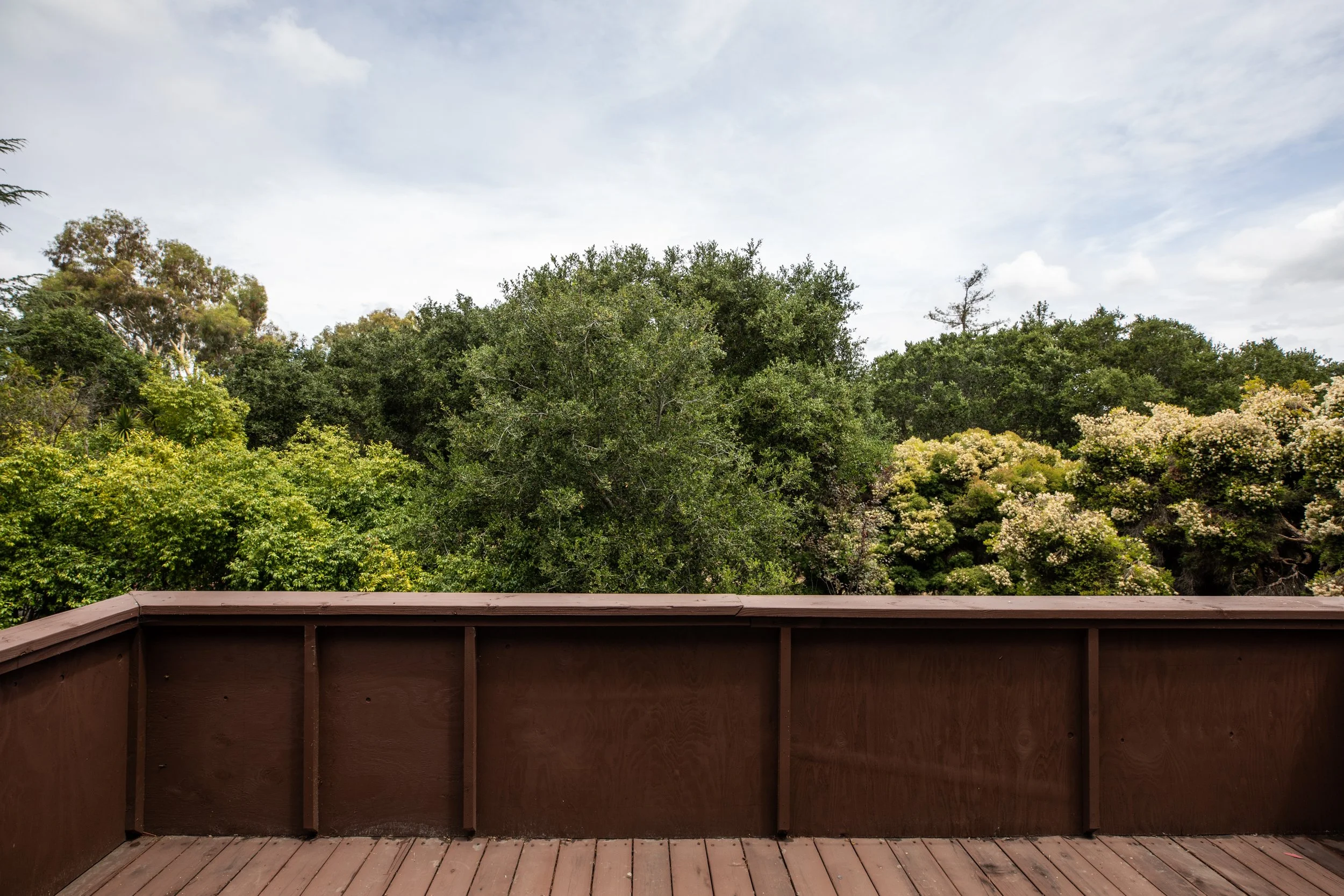 13-Tolman_Matt_Anello-3250-MLS.jpg
