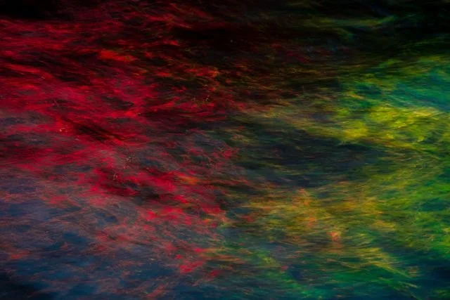 Abstract image of swirling red, green, yellow, and dark colors.
