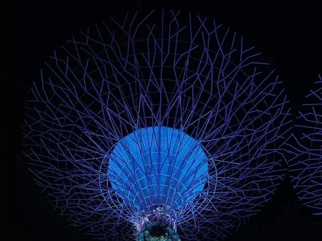 Illuminated wireframe tunnel structure at night with blue lighting.