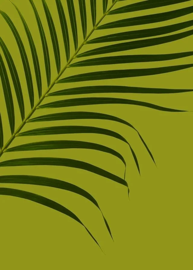 Close-up of green palm frond leaves on a lime green background