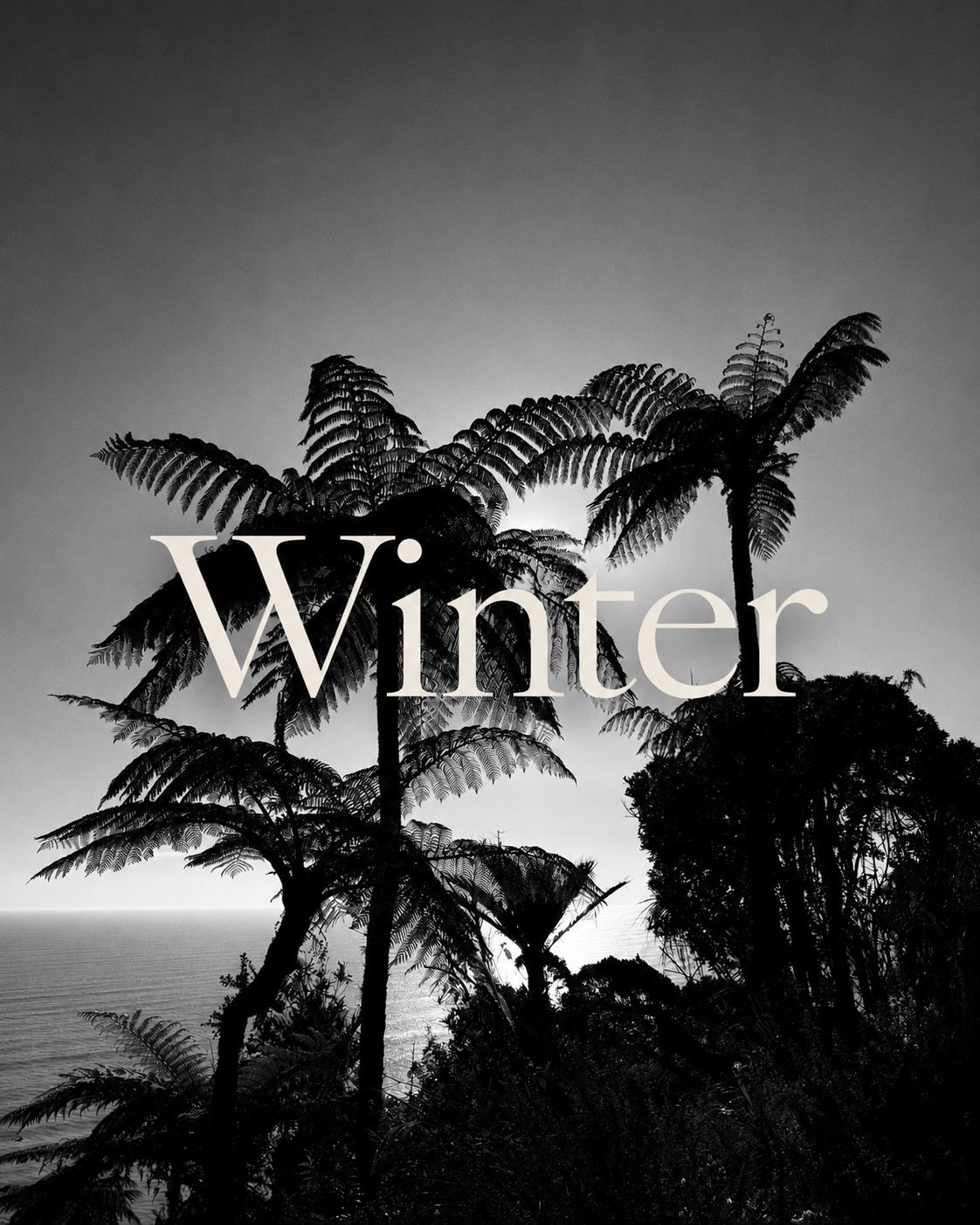 Winter begins and so do the stories