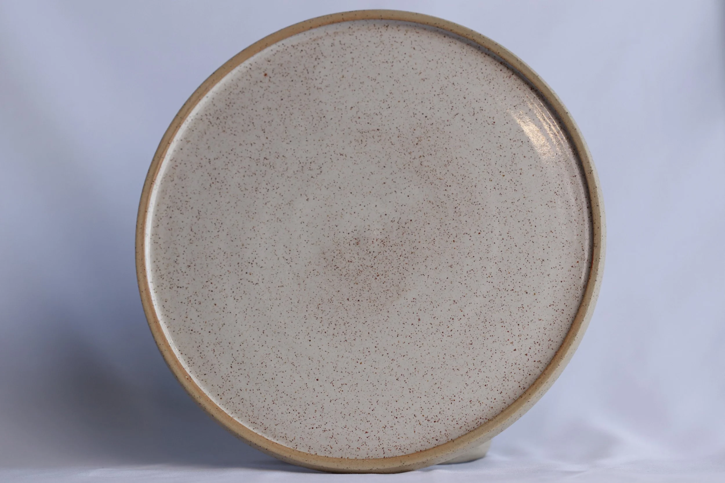Homemade Dinner Plates