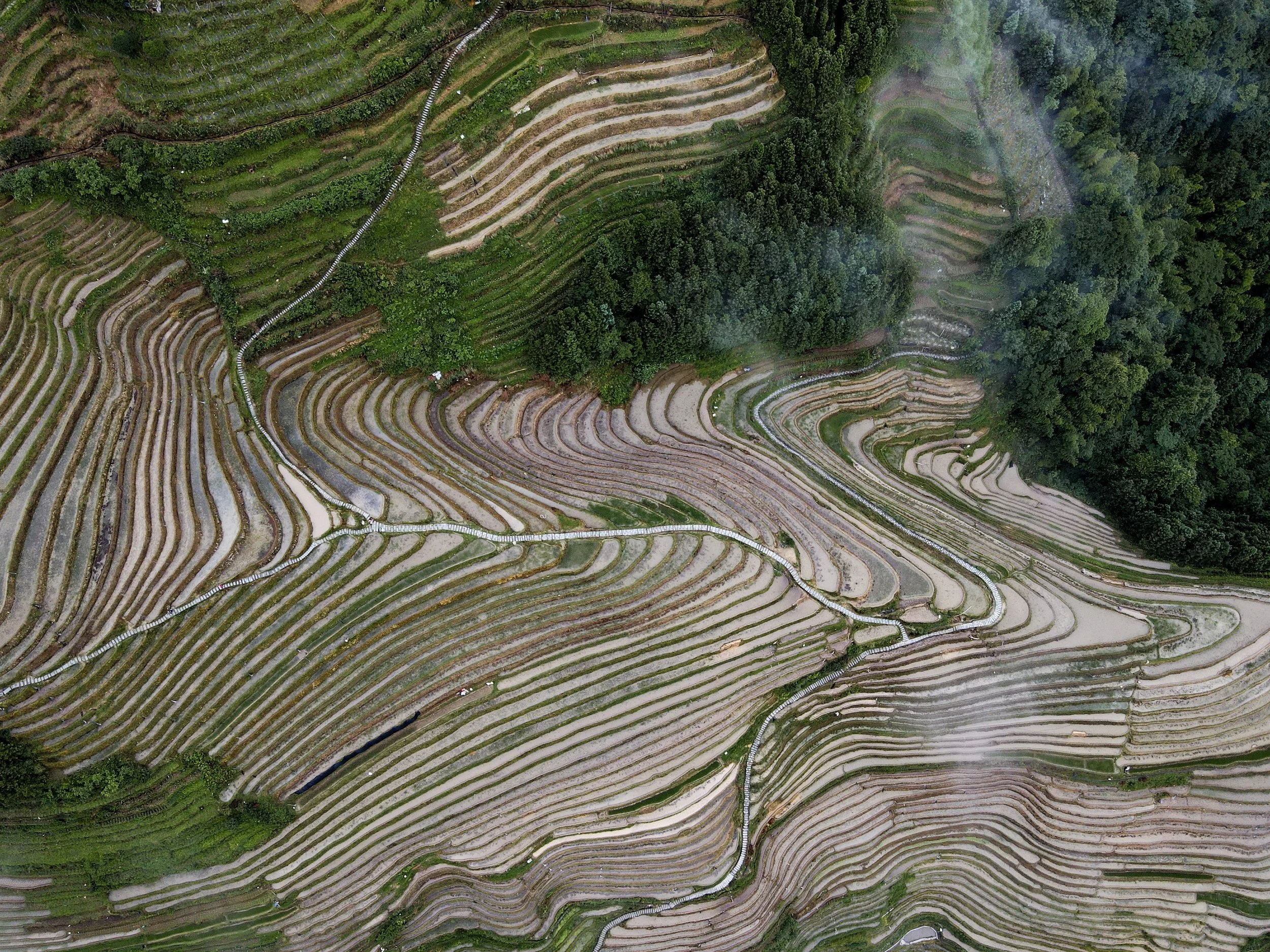 dji_fly_20250611_175810_929_1749635947165_photo.jpg
