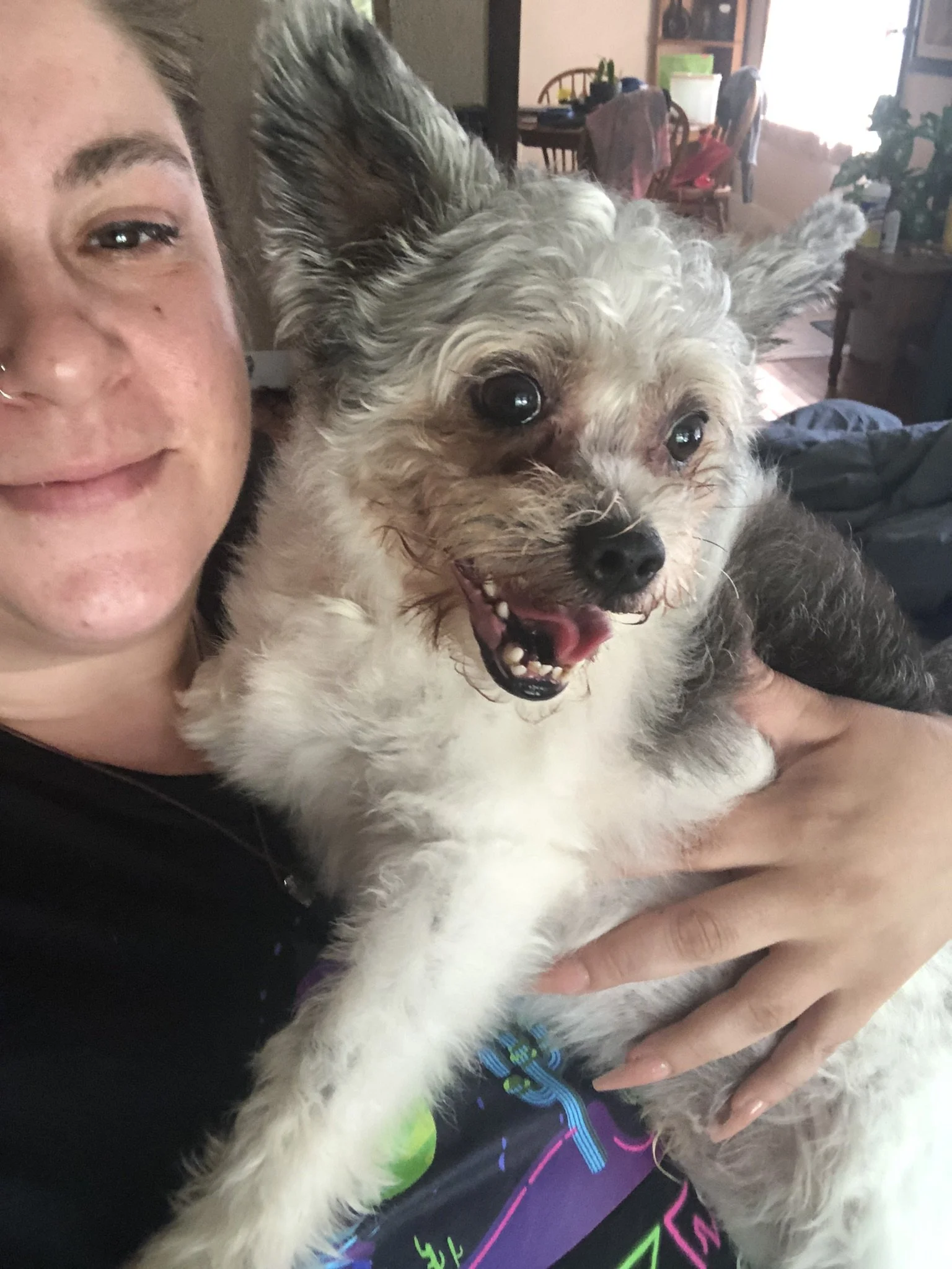 A woman smiling while holding a small mixed breed dog with curly fur, dark eyes, and an open mouth showing its tongue, in a cozy home interior.