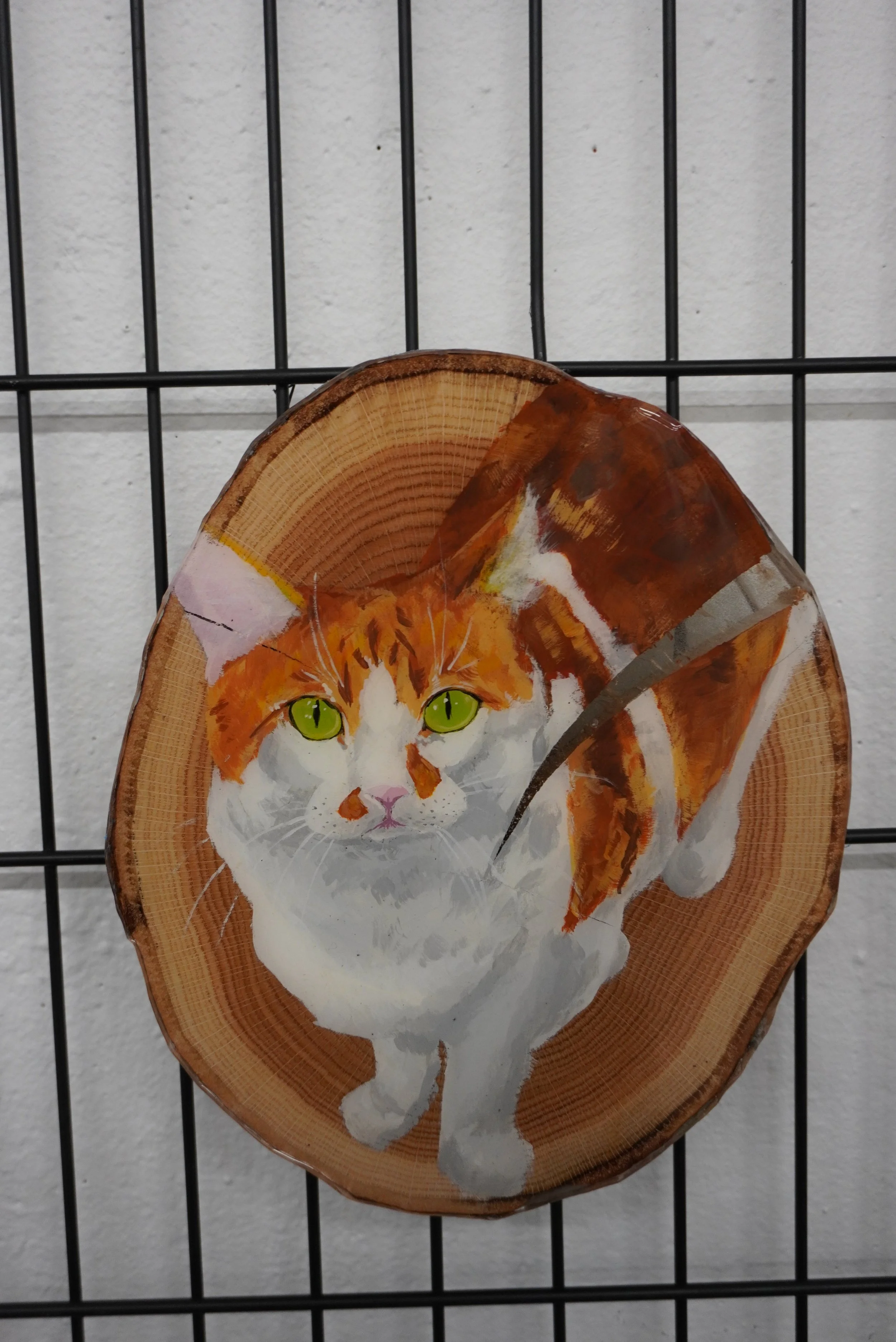 DSC00178.JPG
