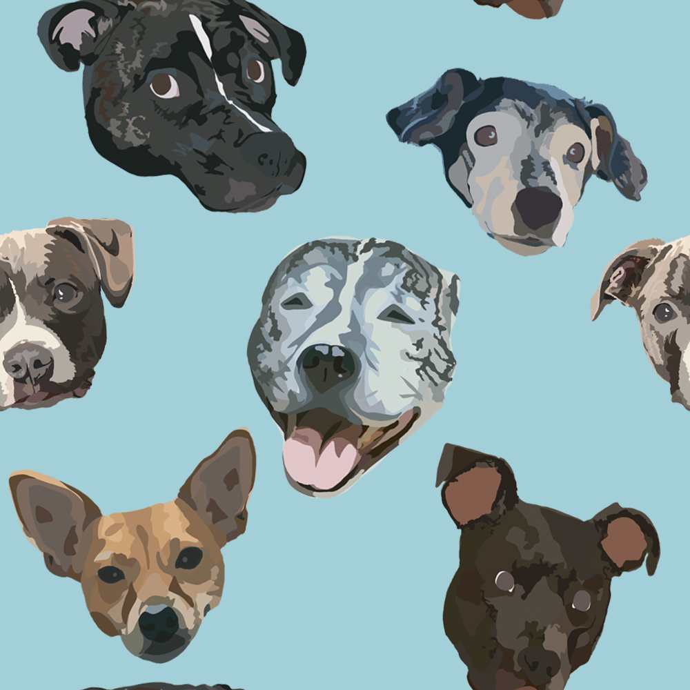 kv.pattern2.png