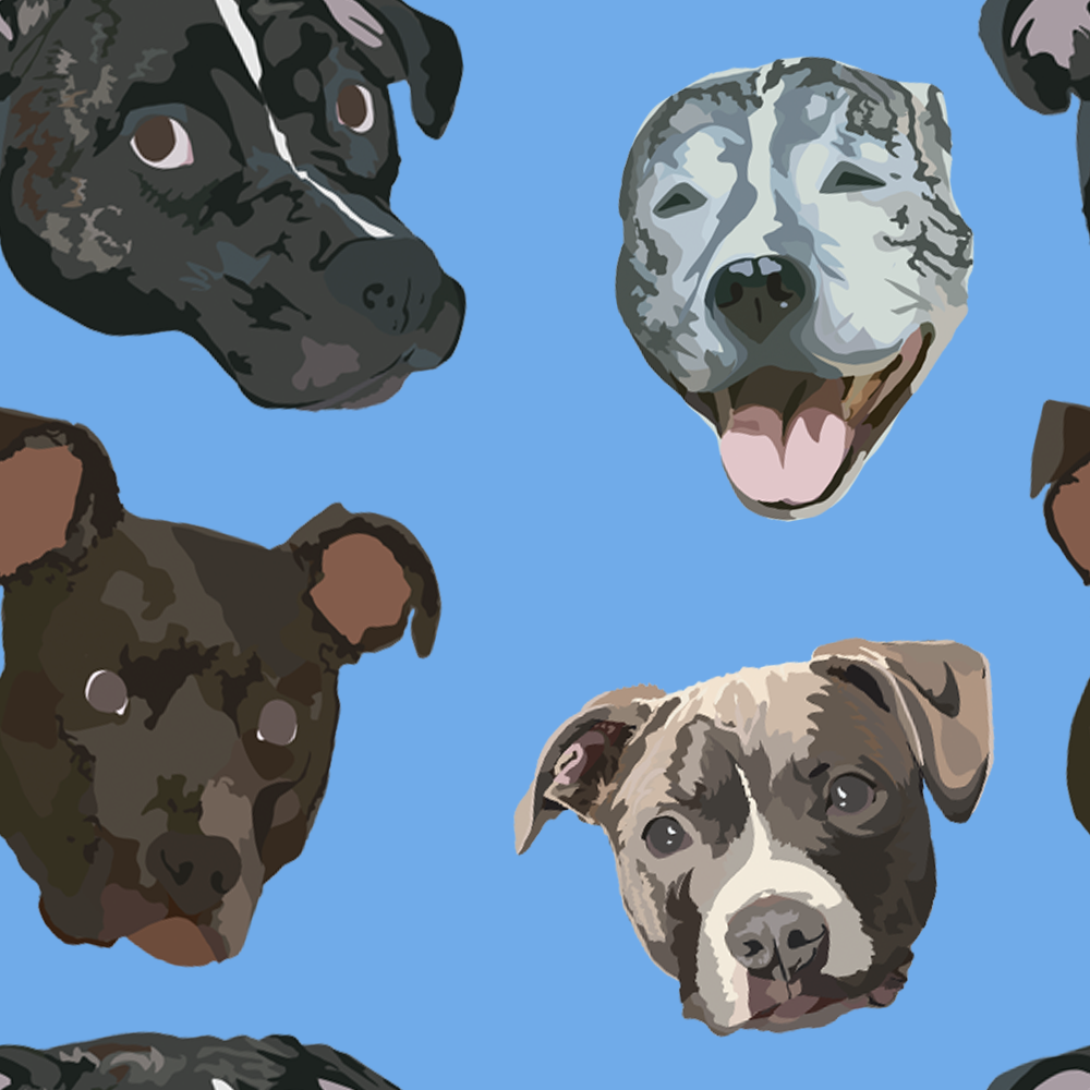 kv.pattern4.png