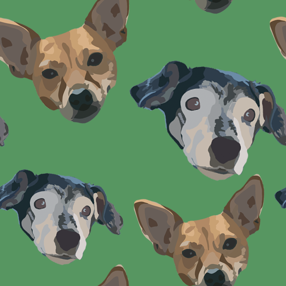 kv.pattern5.png