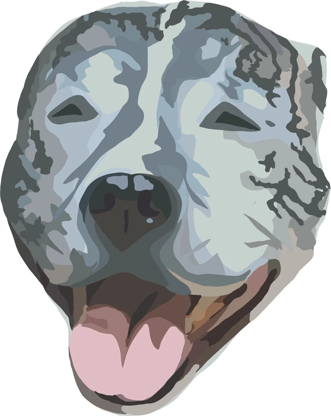 Cassi.jpg