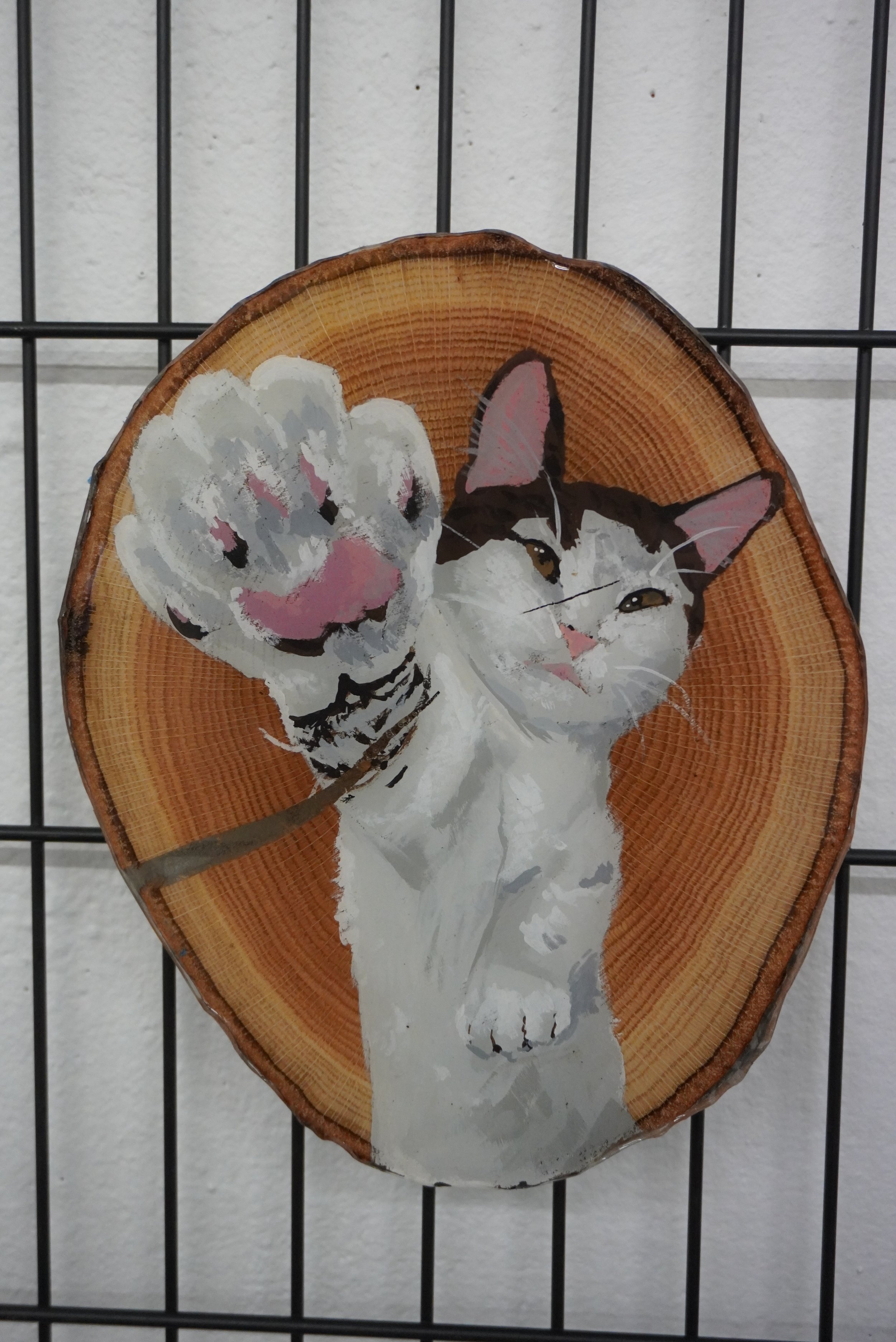 DSC00205.JPG